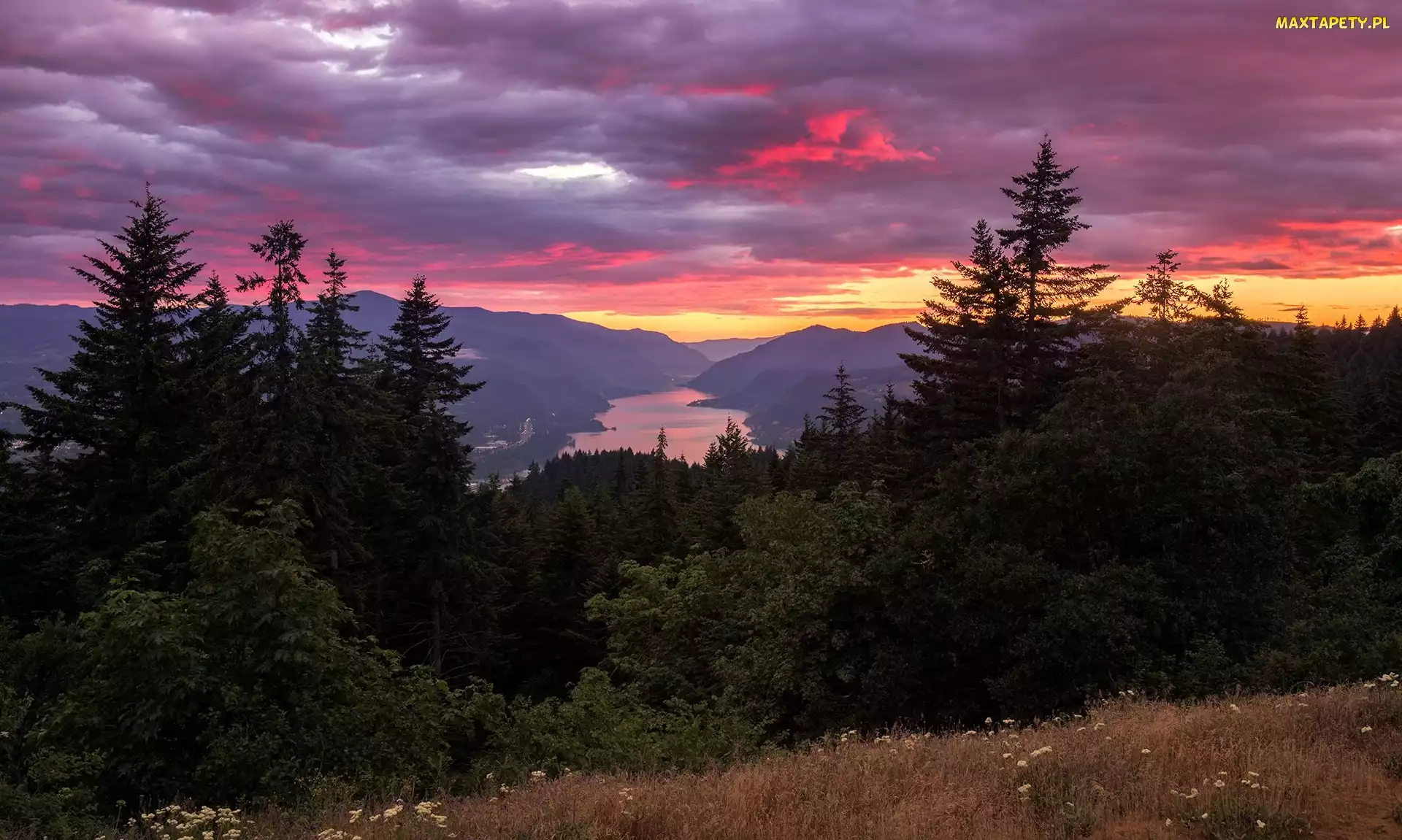 Góry, Stan Waszyngton, Chmury, Stany Zjednoczone, Zachód słońca, Rzeka Kolumbia, Columbia River Gorge, Drzewa, Góry Kaskadowe