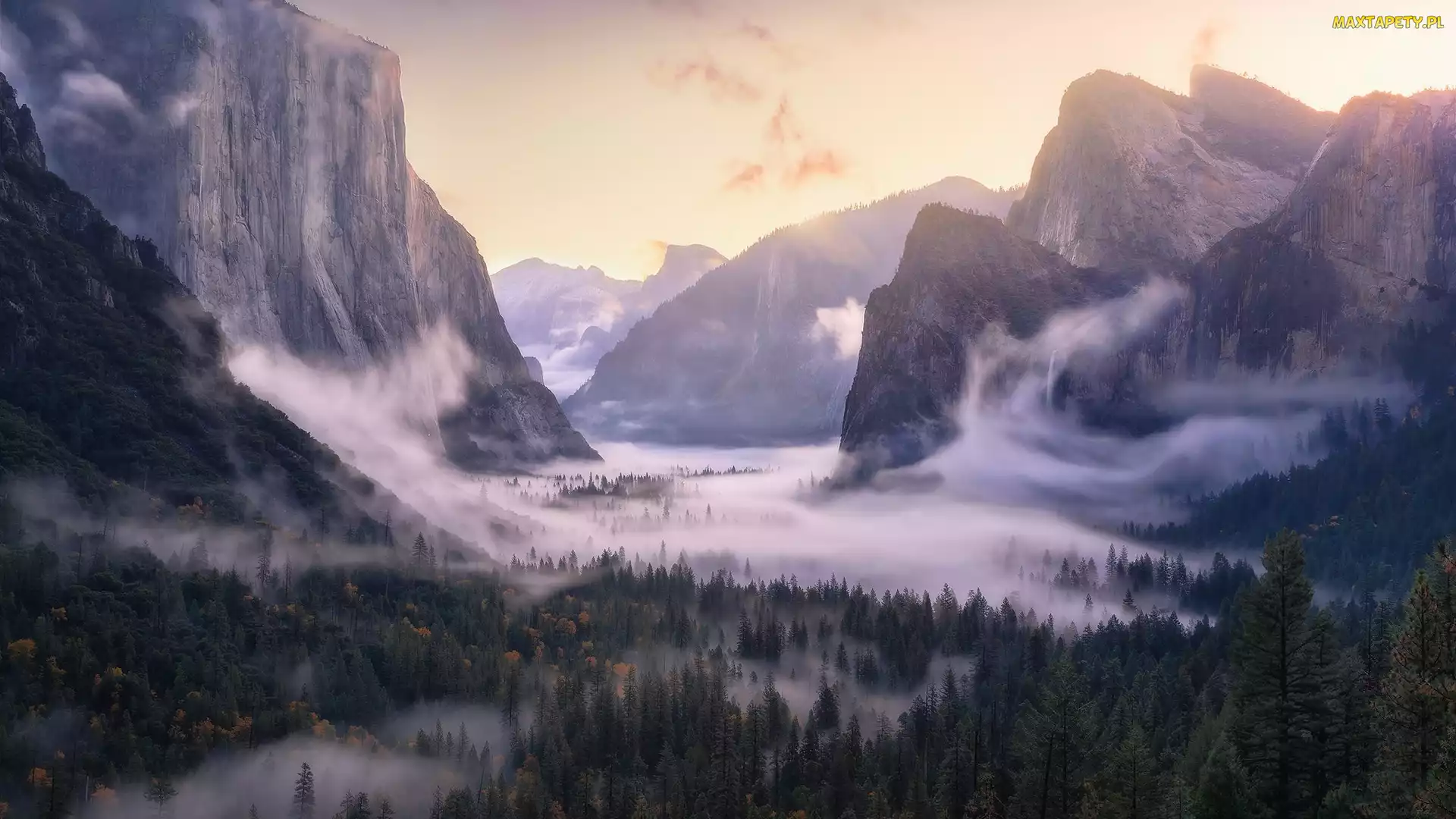 Las, Yosemite Valley, Góry, Mgła,
Kalifornia, Opadająca, Stany Zjednoczone, Park Narodowy Yosemite