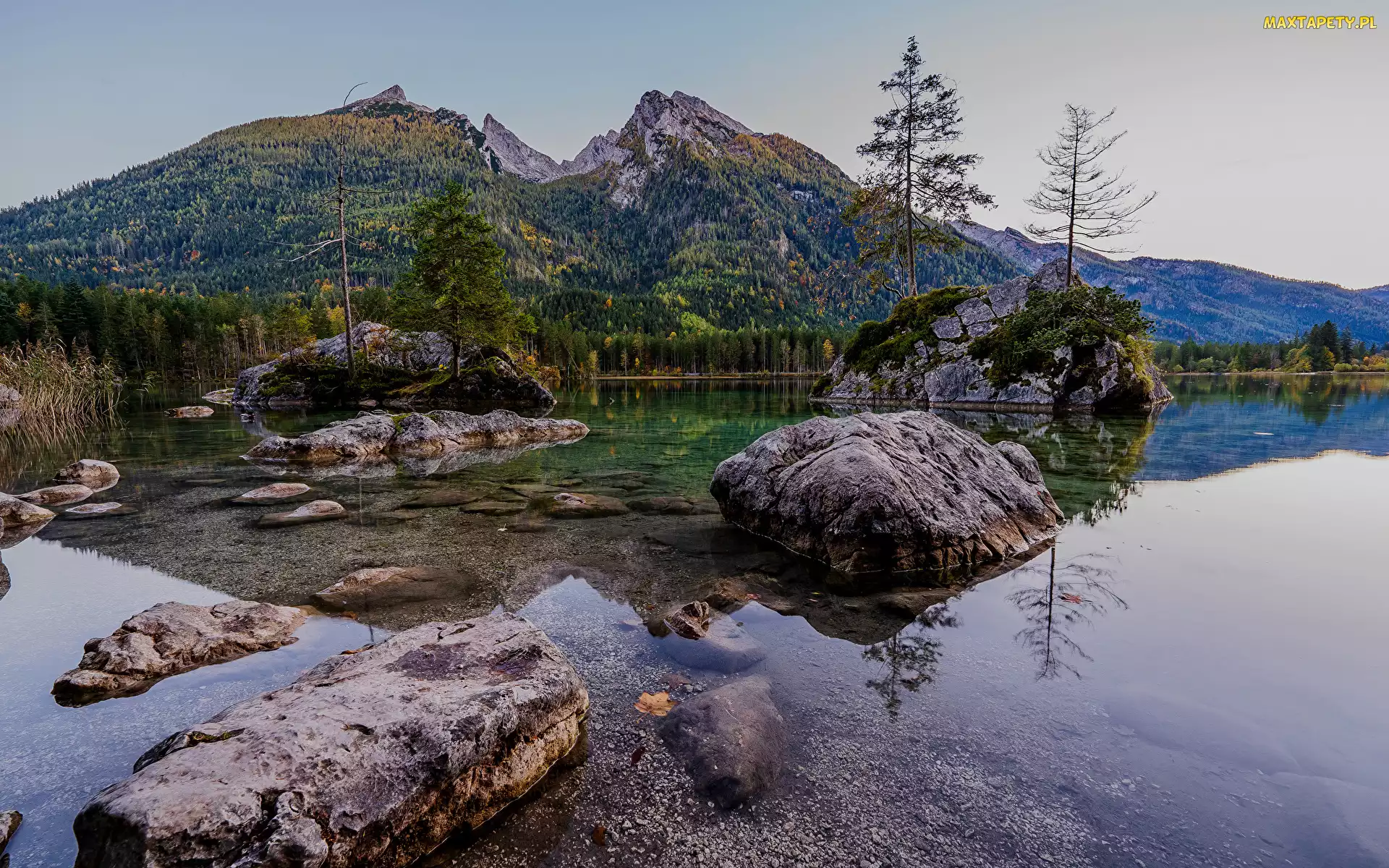 Niemcy, Kamienie, Las, Skały, Jezioro Hintersee, Alpy, Bawaria, Gmina Berchtesgadener, Góry