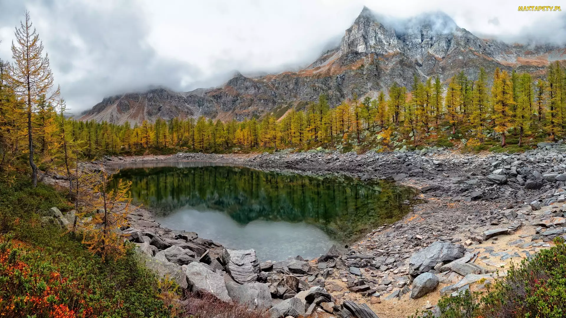 Jesień, Lago Nero, Kamienie, Włochy, Jezioro, Drzewa, Góry, Mgła, Żółte