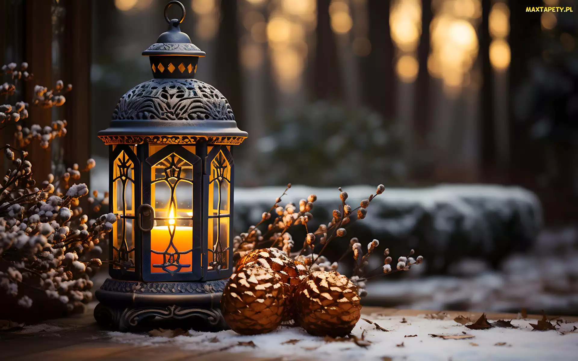 Świeca, Śnieg, Szyszki, Gałązki, Lampion