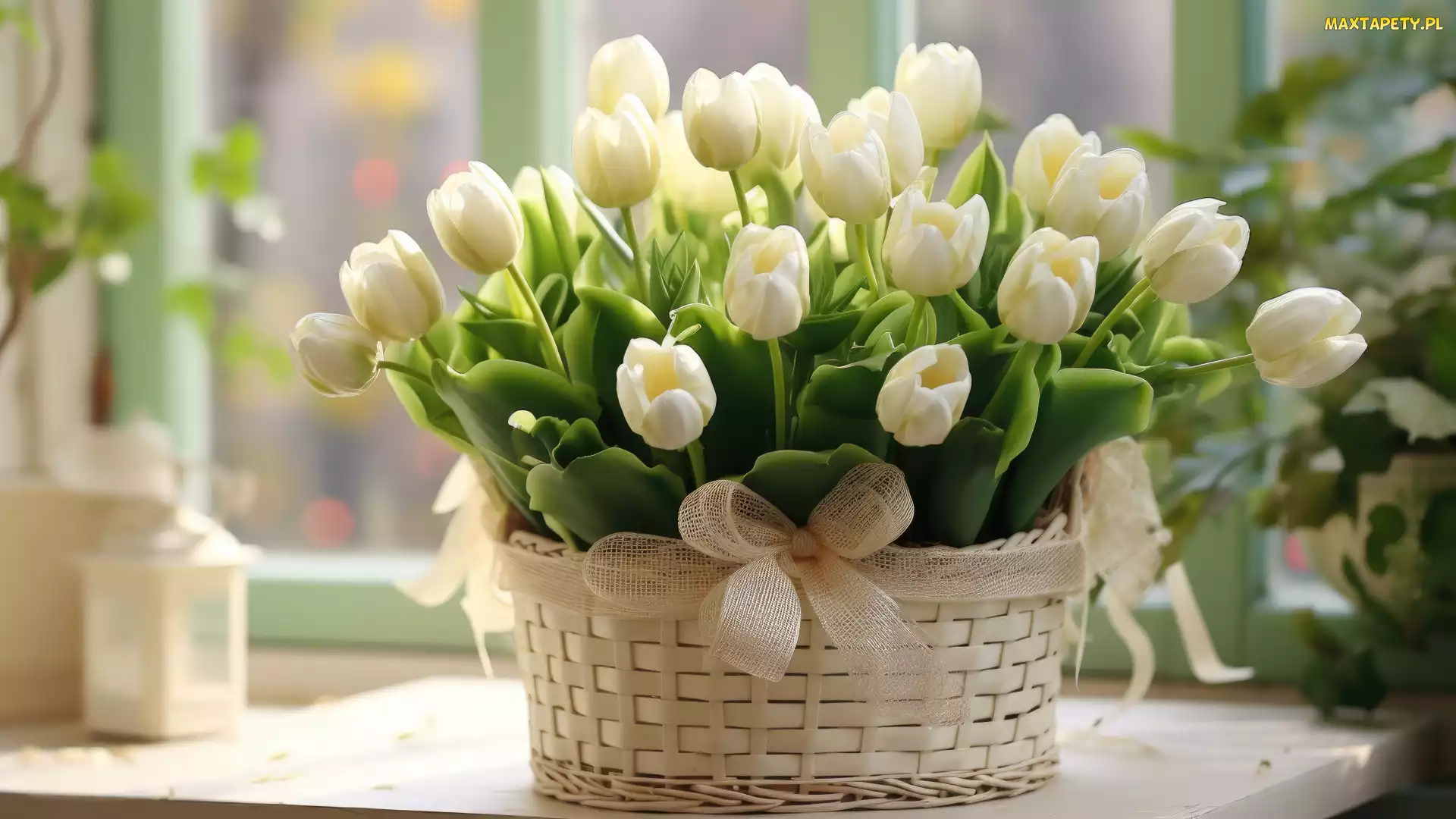Grafika, Okno, Białe, Kwiaty, Tulipany, Koszyk