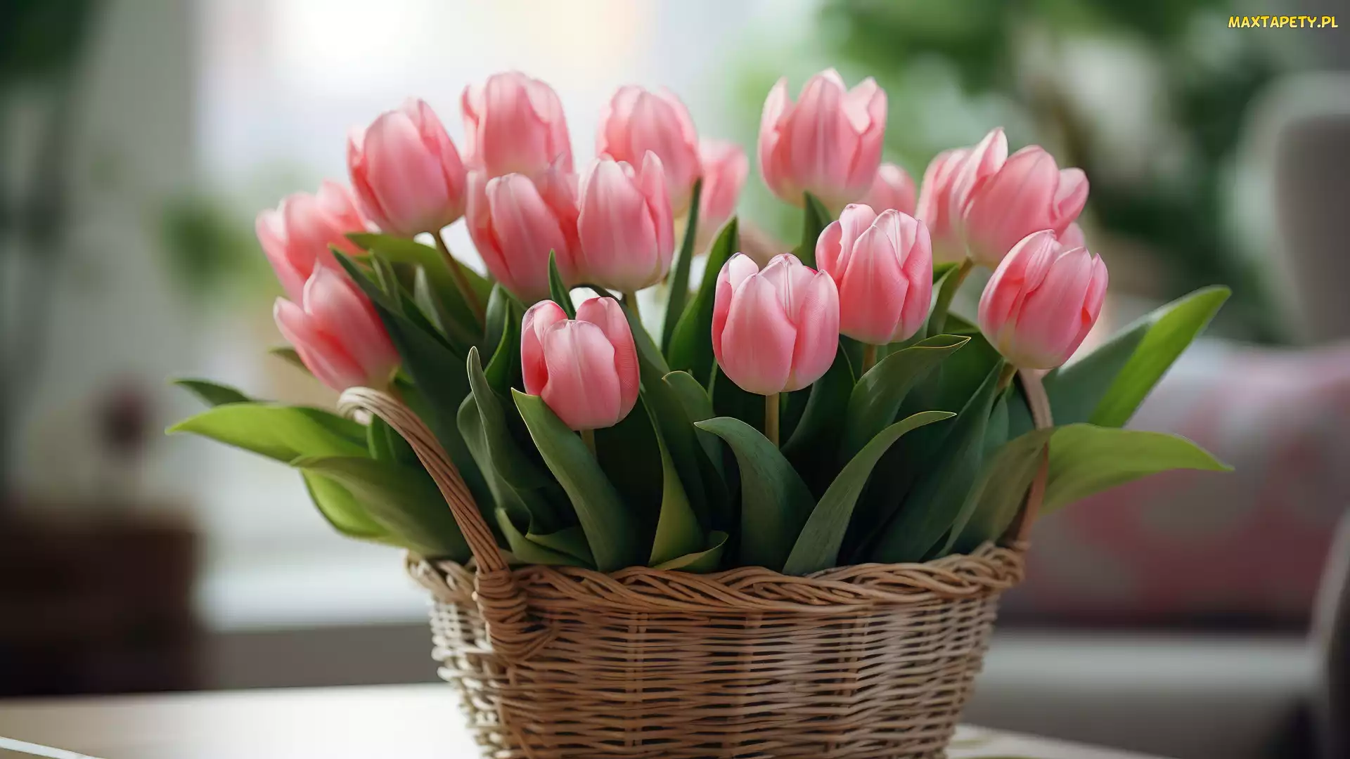 Koszyk, Tulipany, Kwiaty, Różowe