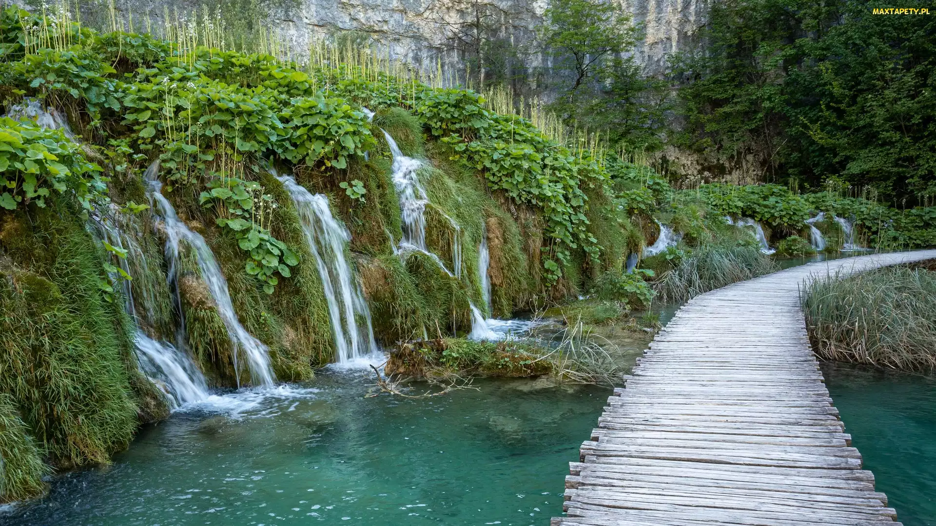 Pomost, Rzeka, Plitwice, Chorwacja, Park Narodowy Jezior Plitwickich, Wodospady