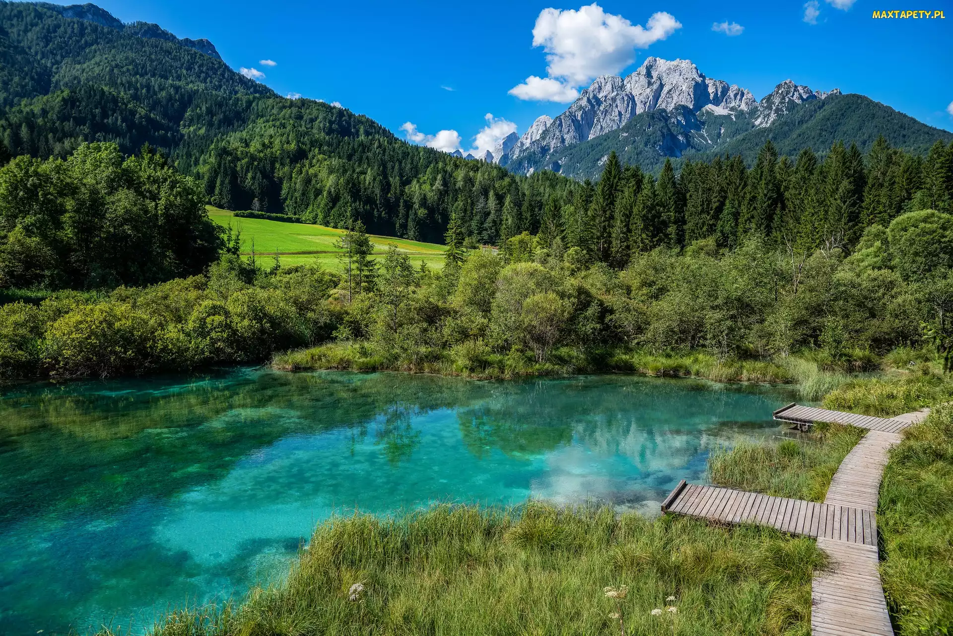 Góry, Kranjska Gora, Trawa, Słowenia, Pomosty, Rezerwat przyrody Zelenci, Las, Drzewa, Jezioro
