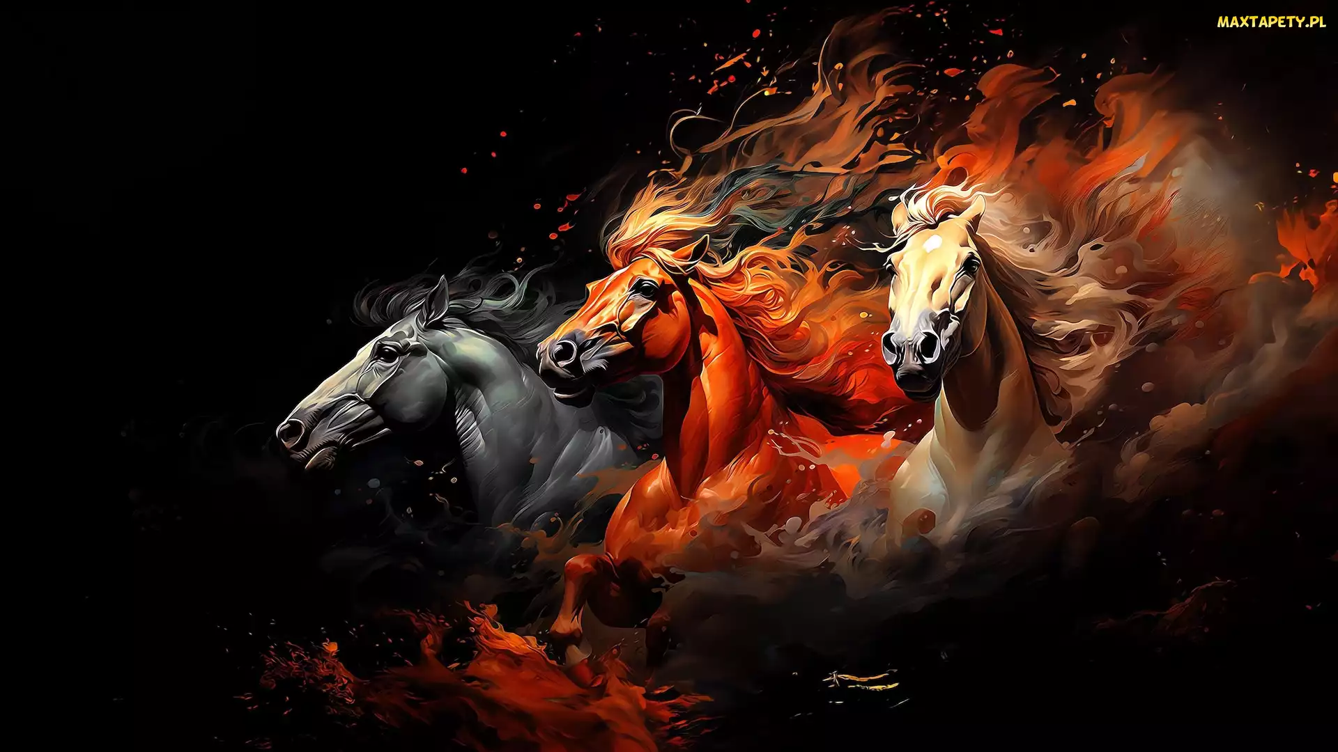 Tło, Czarne, Trzy, Grafika, Konie, Galop