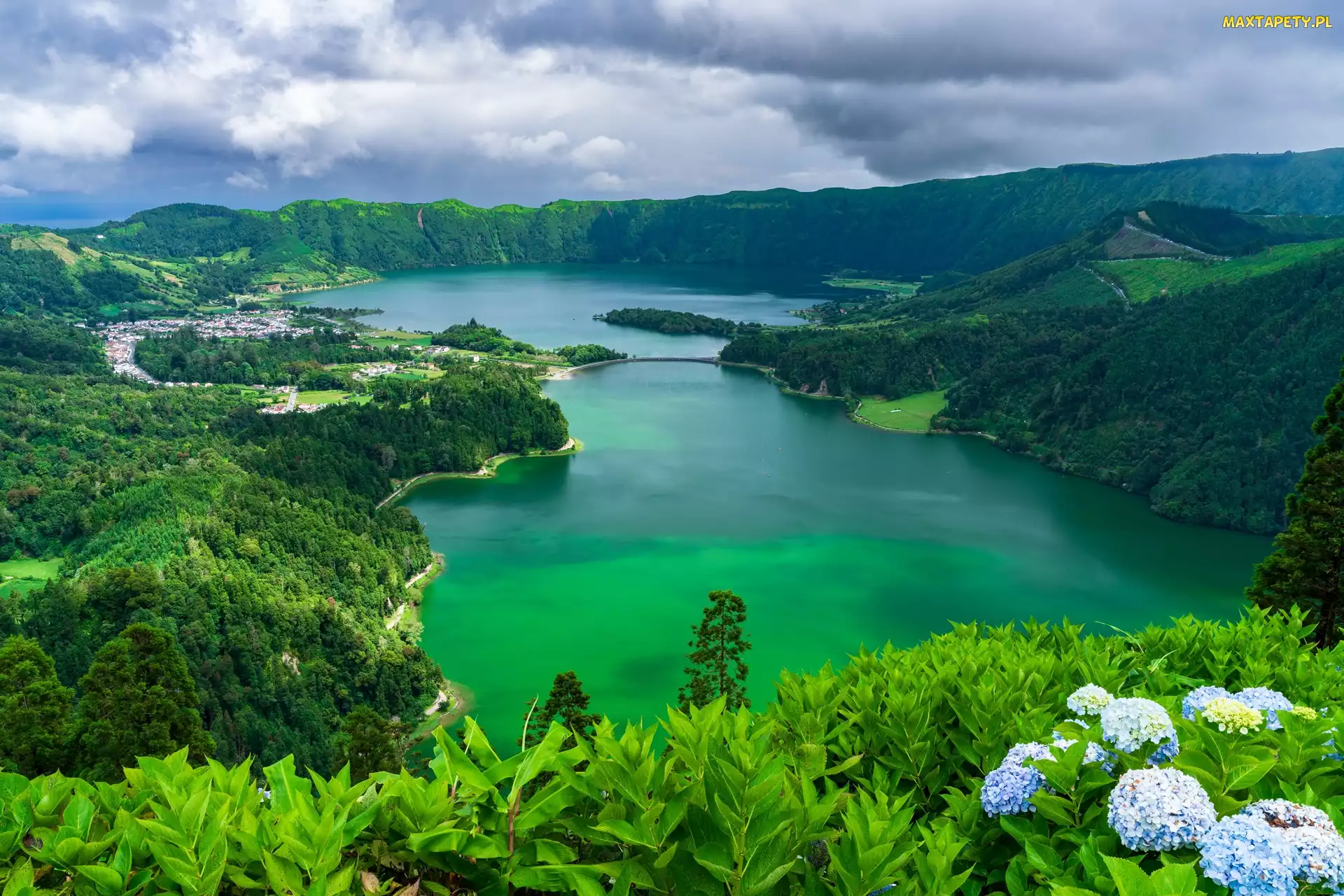 Hortensje, Azory, Sete Cidades, Portugalia, Wyspa Sao Miguel, Lasy, Jezioro Azul, Jezioro Verde, Góry