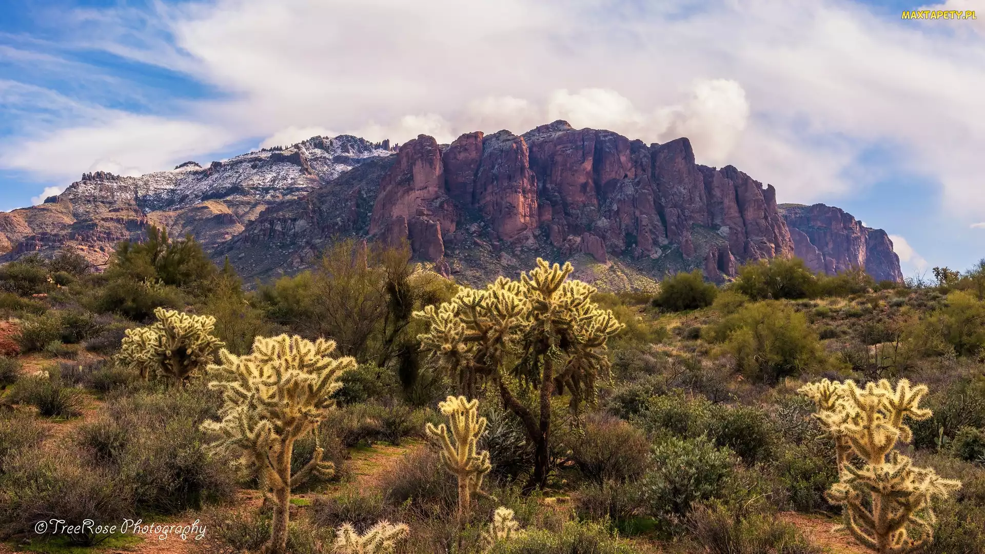 Roślinność, Skały, Arizona, Kaktusy, Superstition Mountains, Stany Zjednoczone, Góry