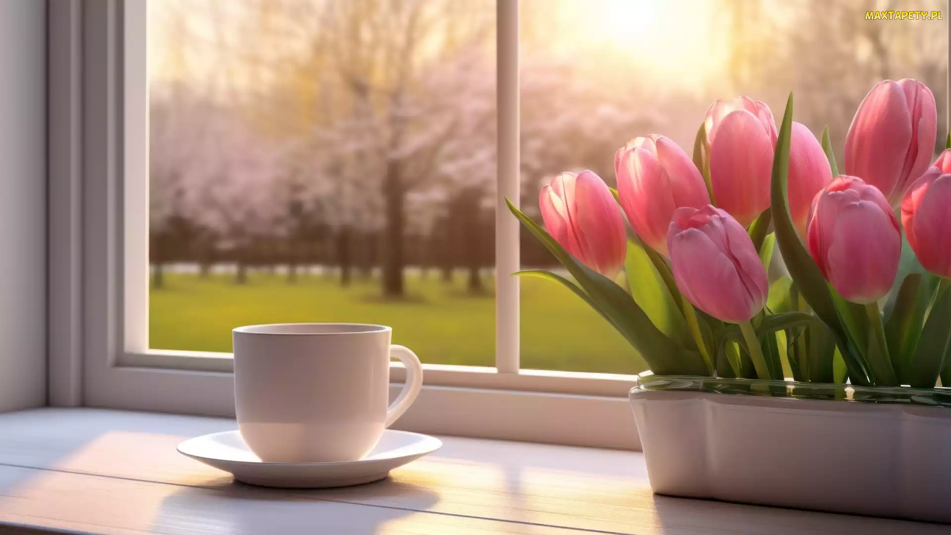 Tulipany, Parapet, Filiżanka