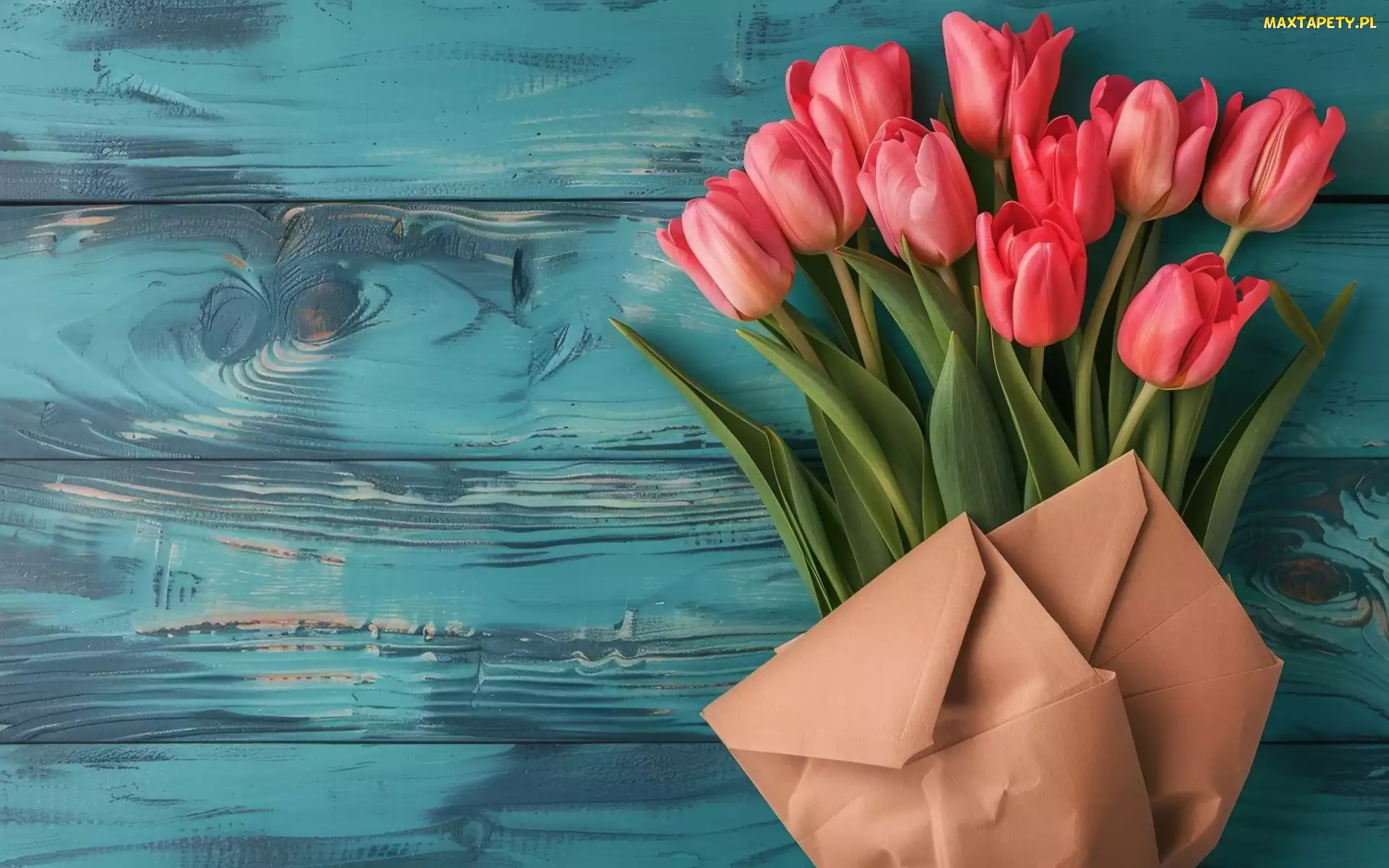 Tulipany, Koperty, Kwiat