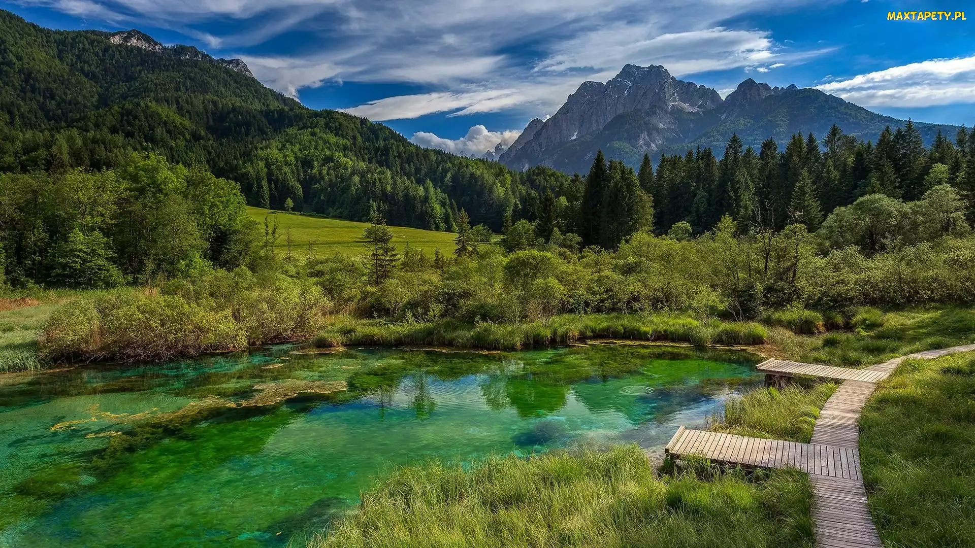 Słowenia, Obłoki, Pomosty, Kranjska Gora, Las, Drzewa, Jezioro, Rezerwat przyrody Zelenci, Góry, Trawa