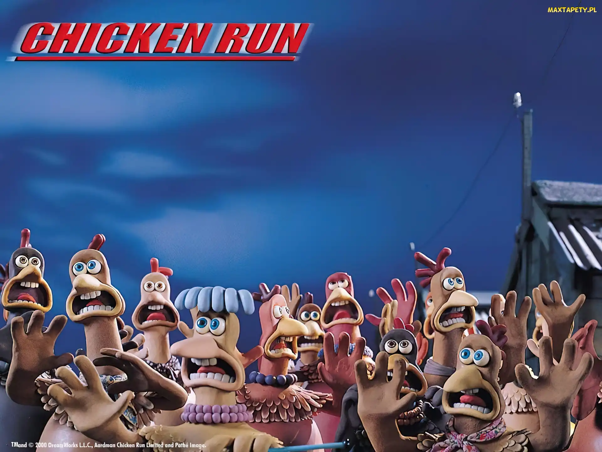 Chicken Run, dzioby, kurczaki, przestraszone, Uciekające kurczaki