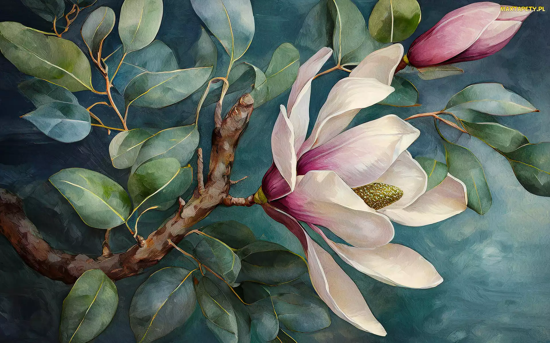 Gałązka, Malarstwo, Magnolia, Kwitnąca, Krzew