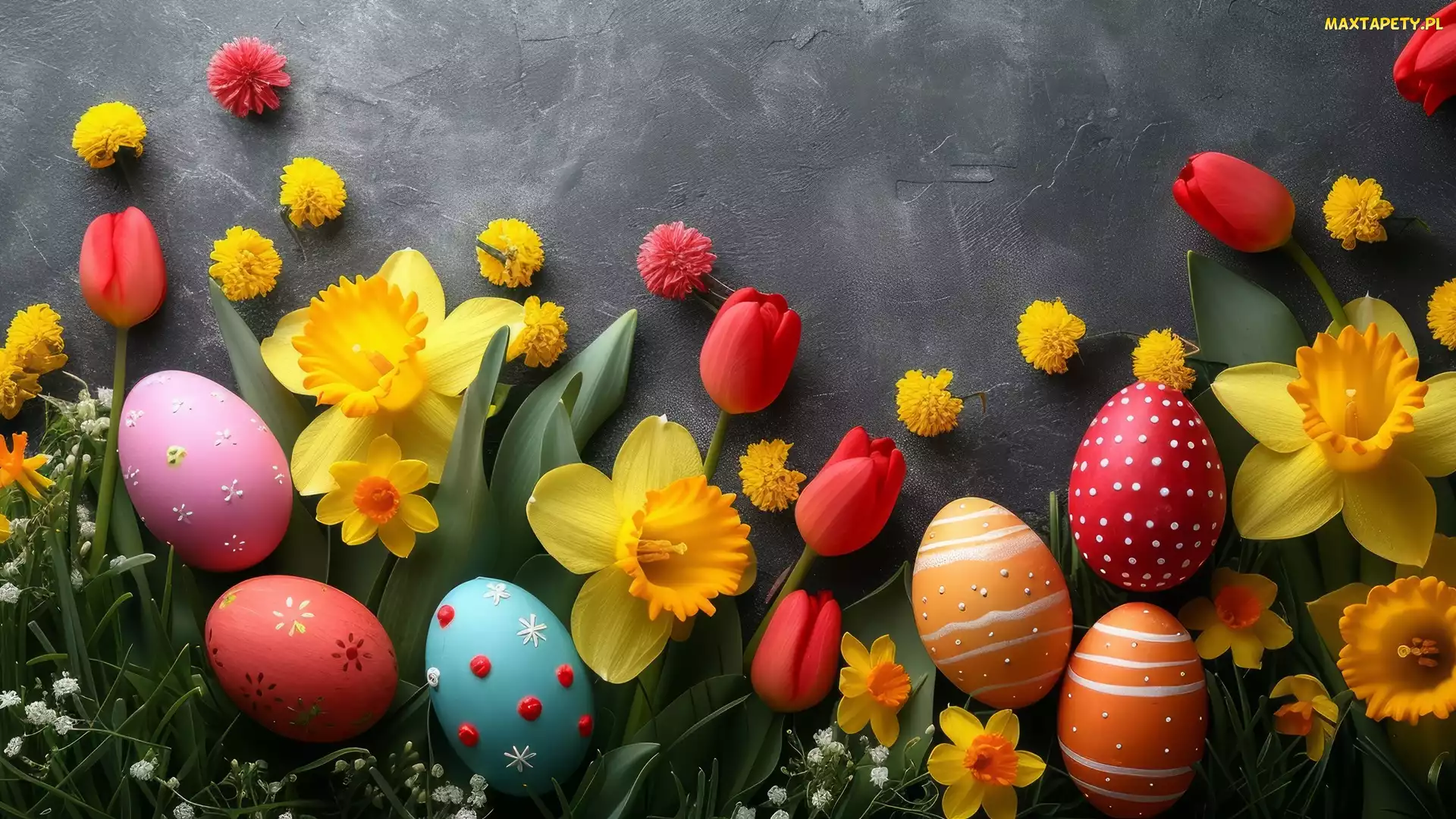 Pisanki, Tulipany, Żonkile, Kwiaty, Wielkanoc