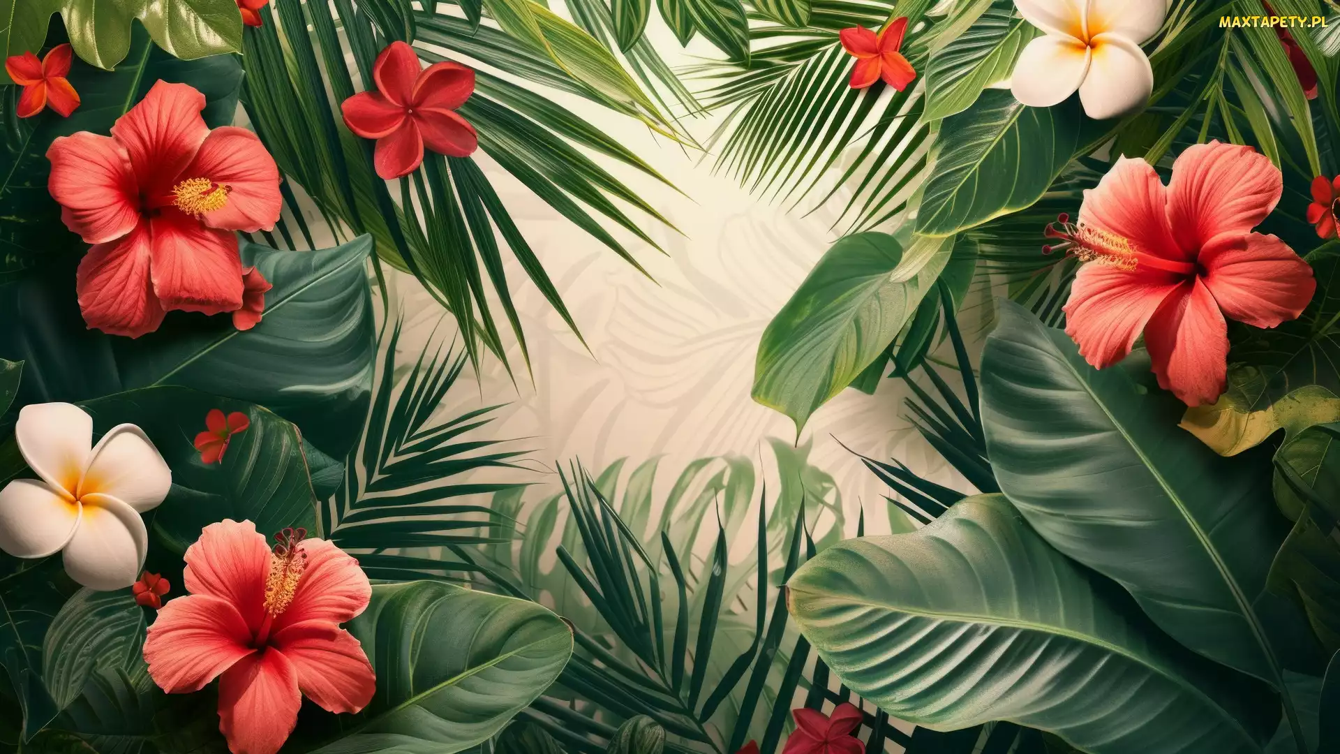 2D, Liście, Kwiaty, Hibiskusy