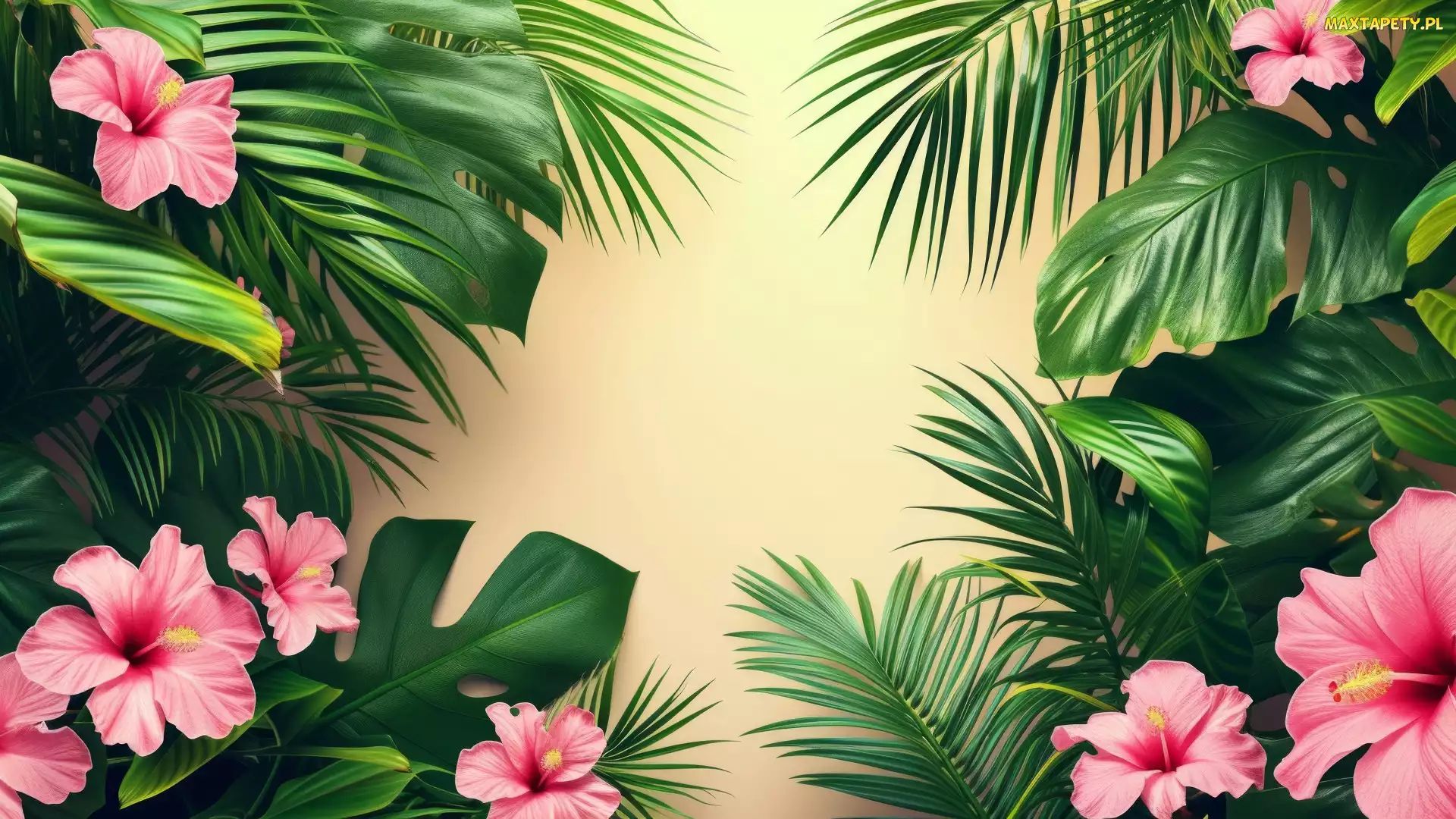 Liście, Hibiskusy, Różowe, Kwiaty