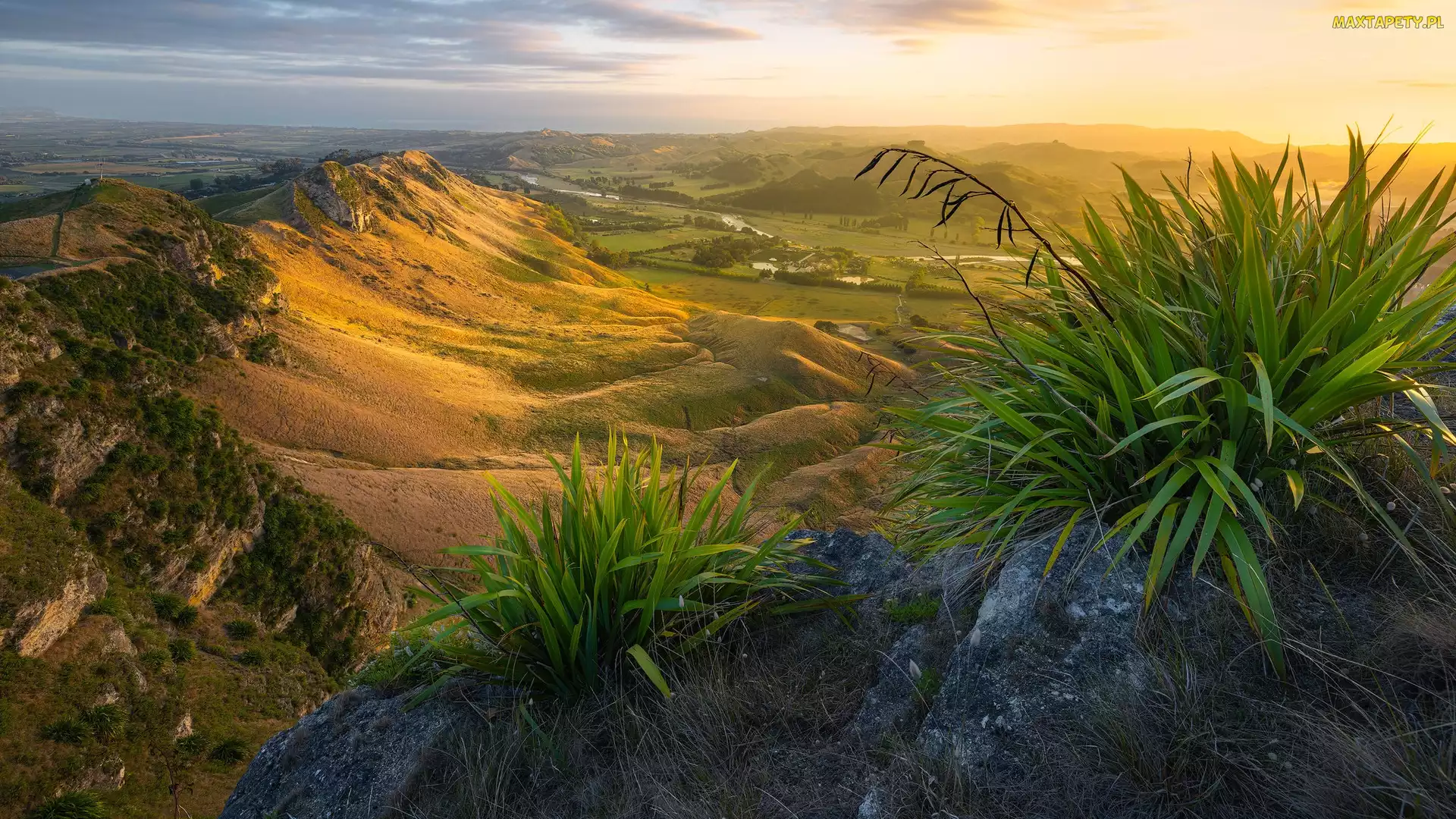 Region Hawkes Bay, Wzgórza, Nowa Zelandia, Te Mata Peak, Dolina, Góry, Rośliny, Wschód słońca