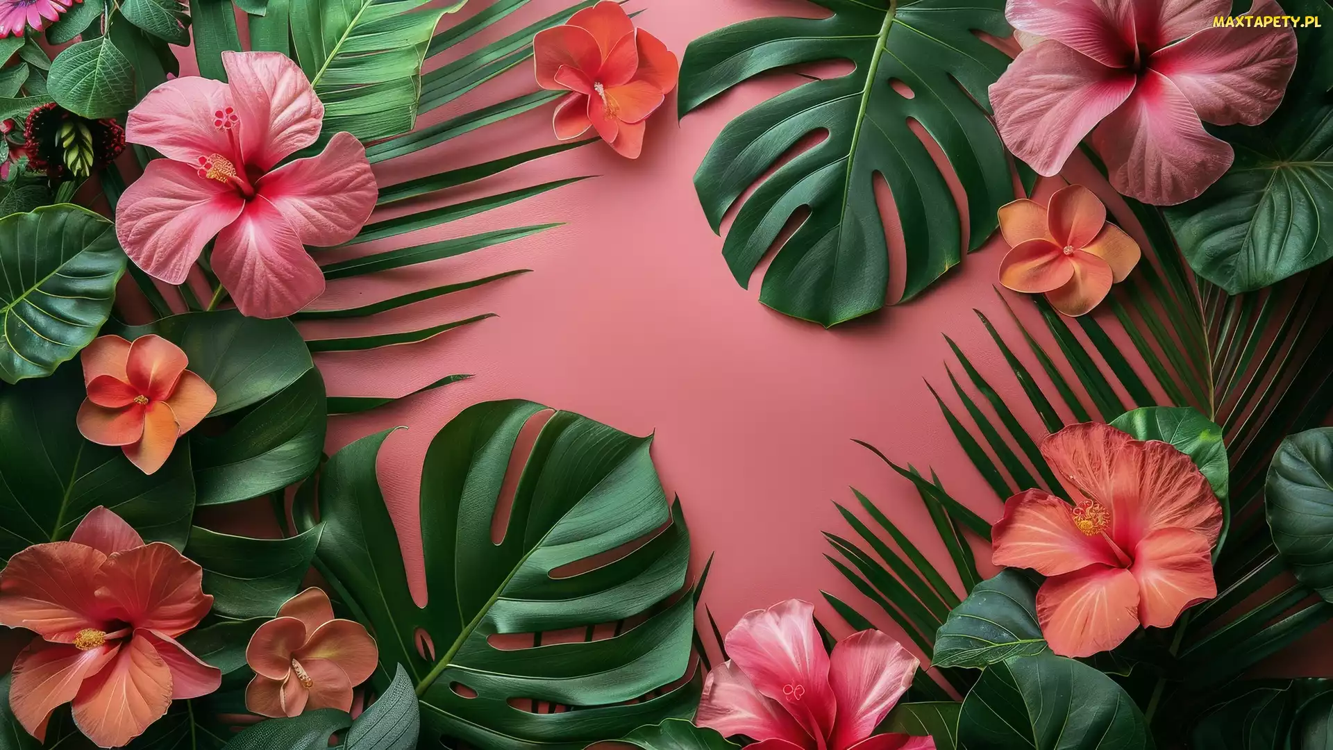 Hibiskusy, Liście, Kwiaty