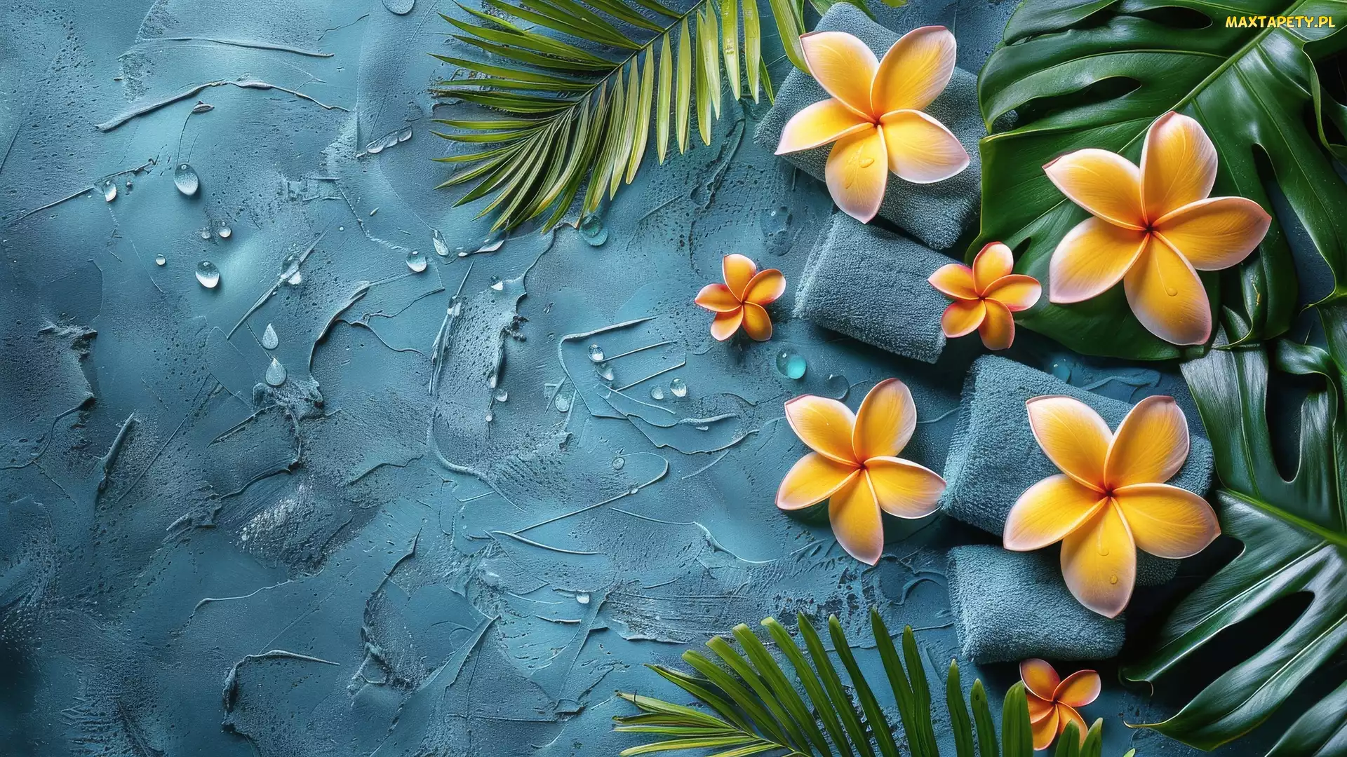 Ręczniki, Liście, Kwiat, Plumeria