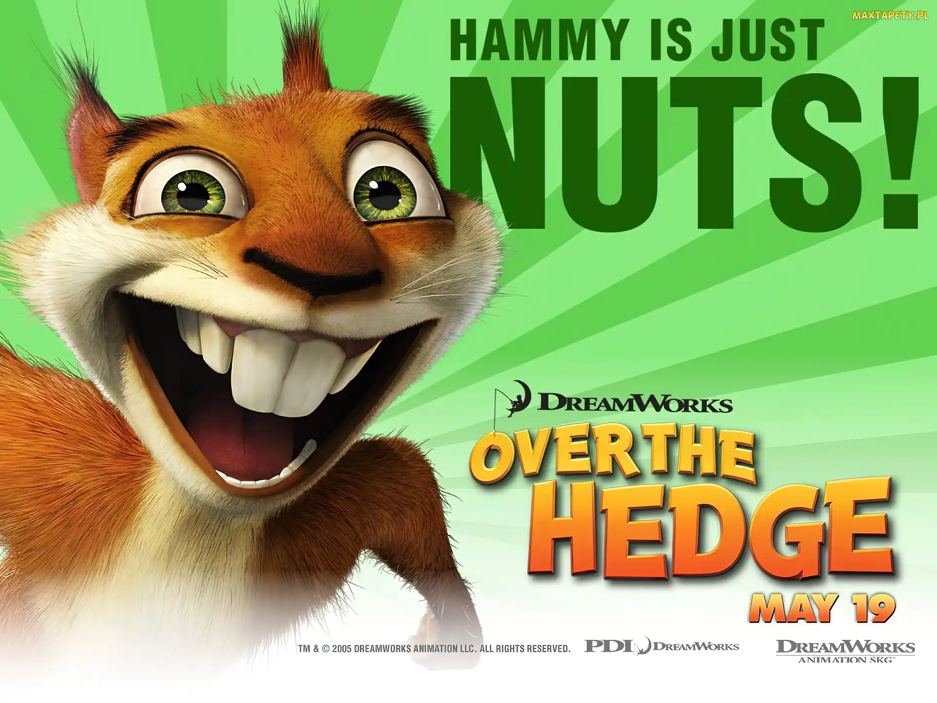 wiewiórka, Over the Hedge, Skok przez płot