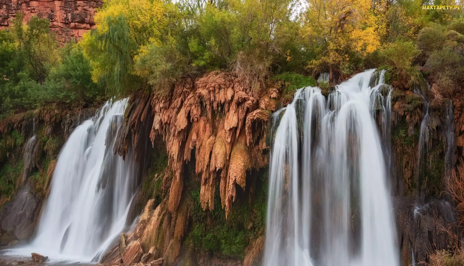 Arizona, Roślinność, Fifty Foot Falls, Wodospad, Stany Zjednoczone