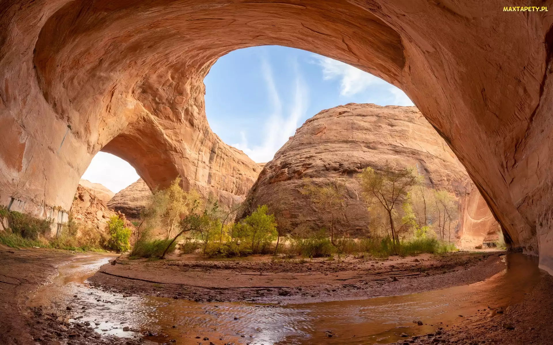 Utah, Coyote Gulch, Łuk Jacoba Hamblina, Stany Zjednoczone, Rzeka, Skały, Drzewa
