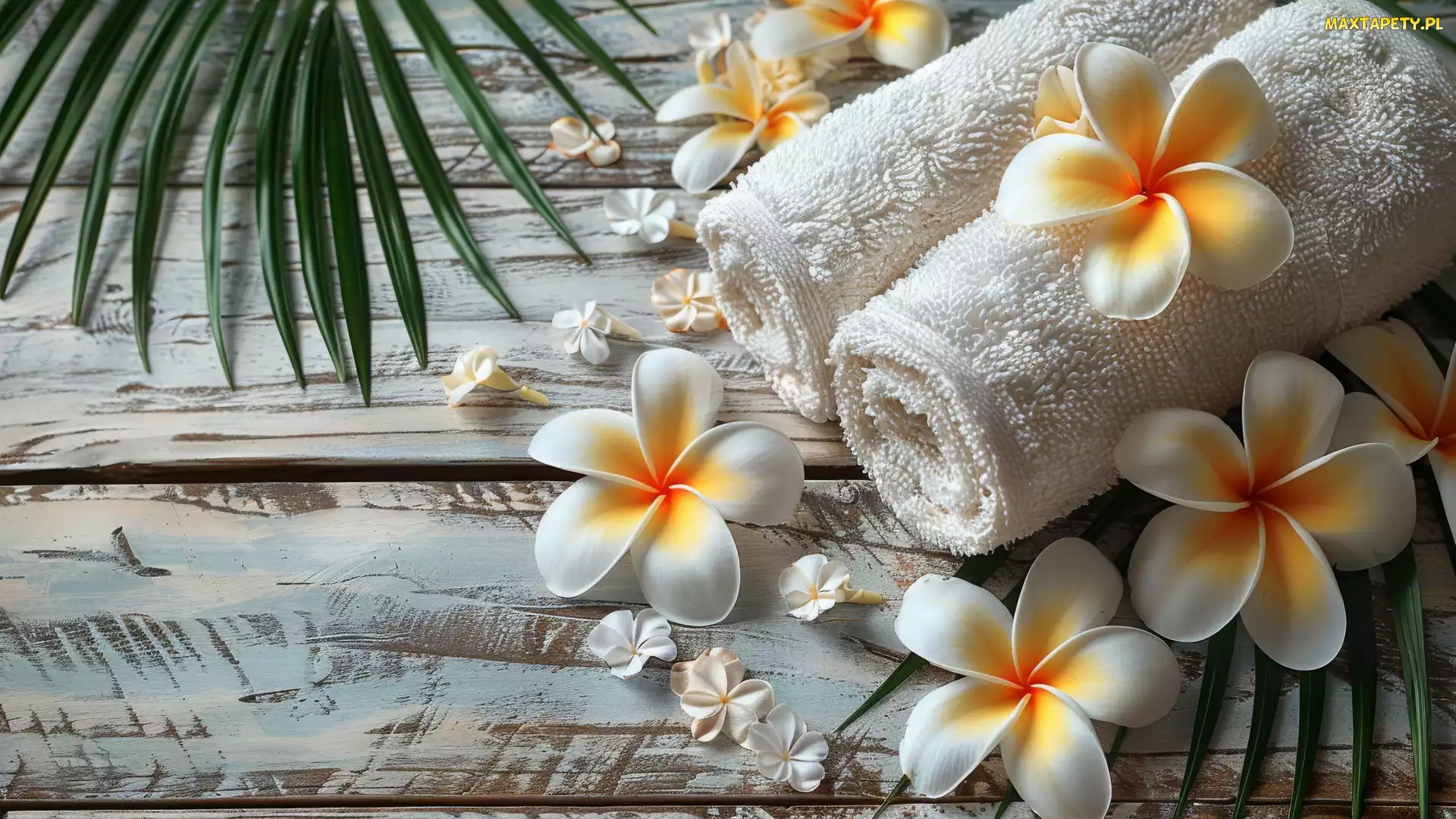 Plumeria, Kompozycja, Ręczniki, Liście, Kwiat
