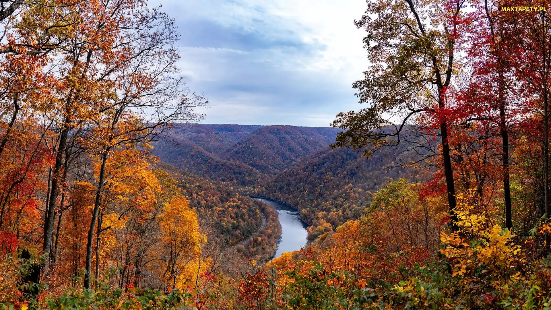Wirginia Zachodnia, New River Gorge Bridge, Stany Zjednoczone, Rzeka, Drzewa, Wąwóz, Lasy, Jesień