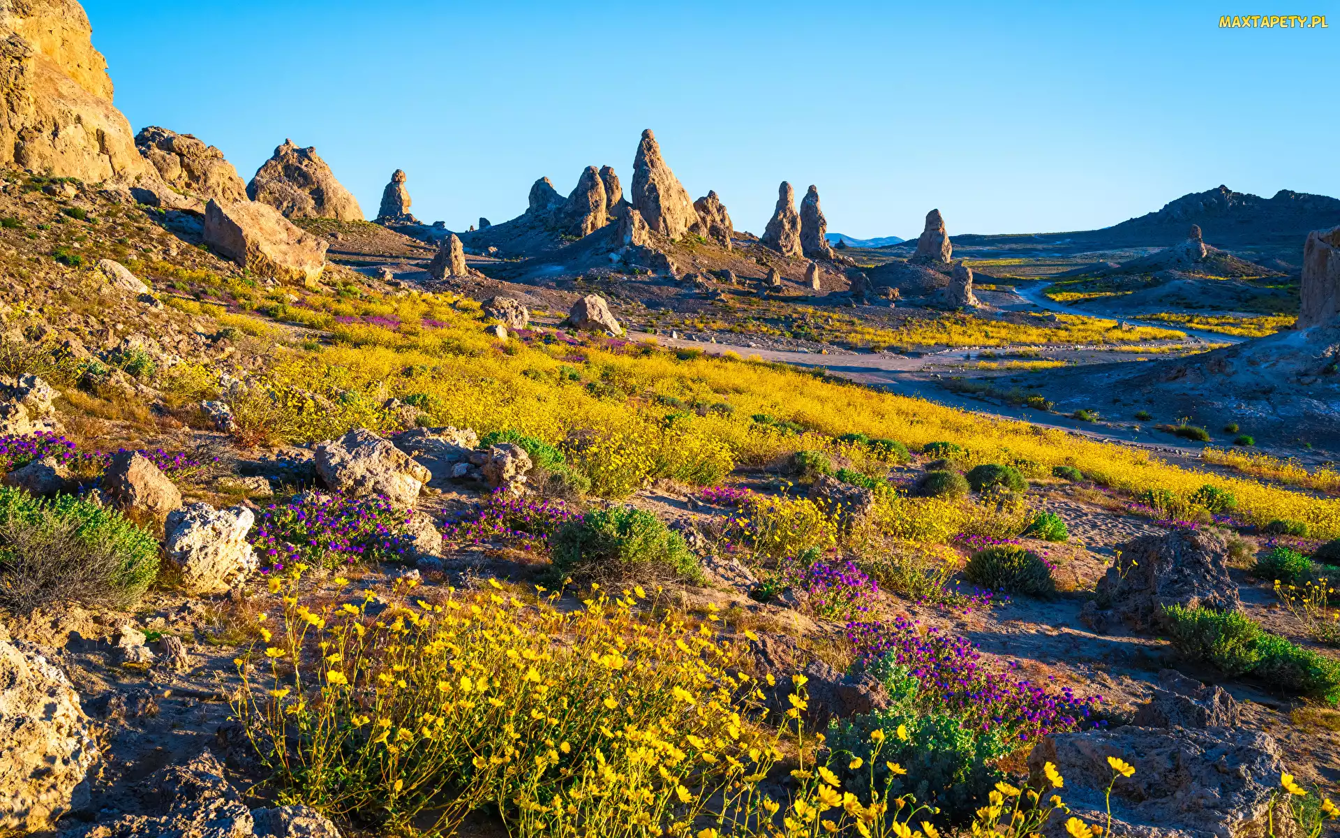 Stany Zjednoczone, Słoneczny, Kamienie, Dzień, Roślinność, Skały, Kalifornia, Park Trona Pinnacles, Góry