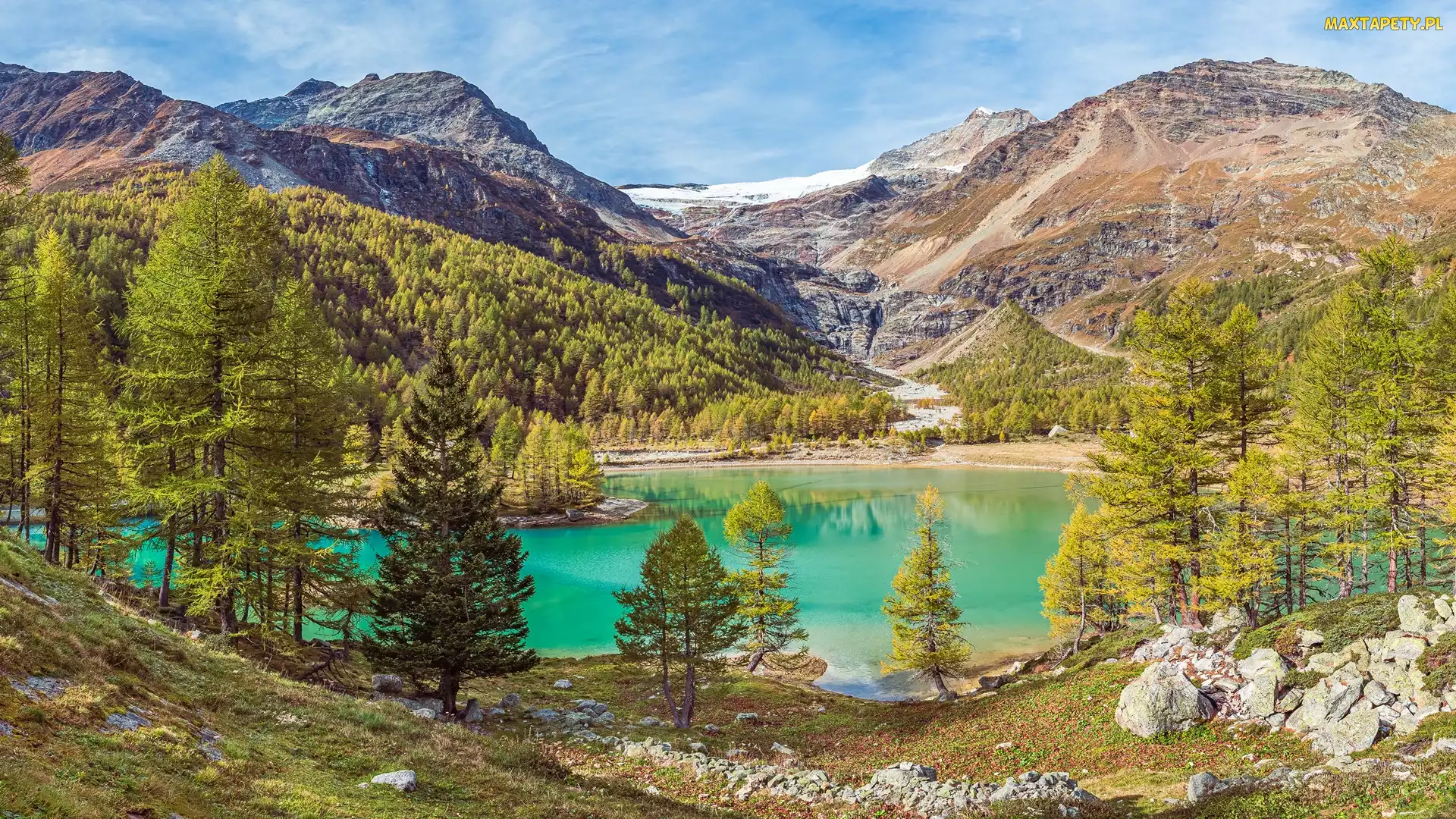 Kamienie, Palu Lake, Las, Szwajcaria, Jezioro, Góry, Drzewa