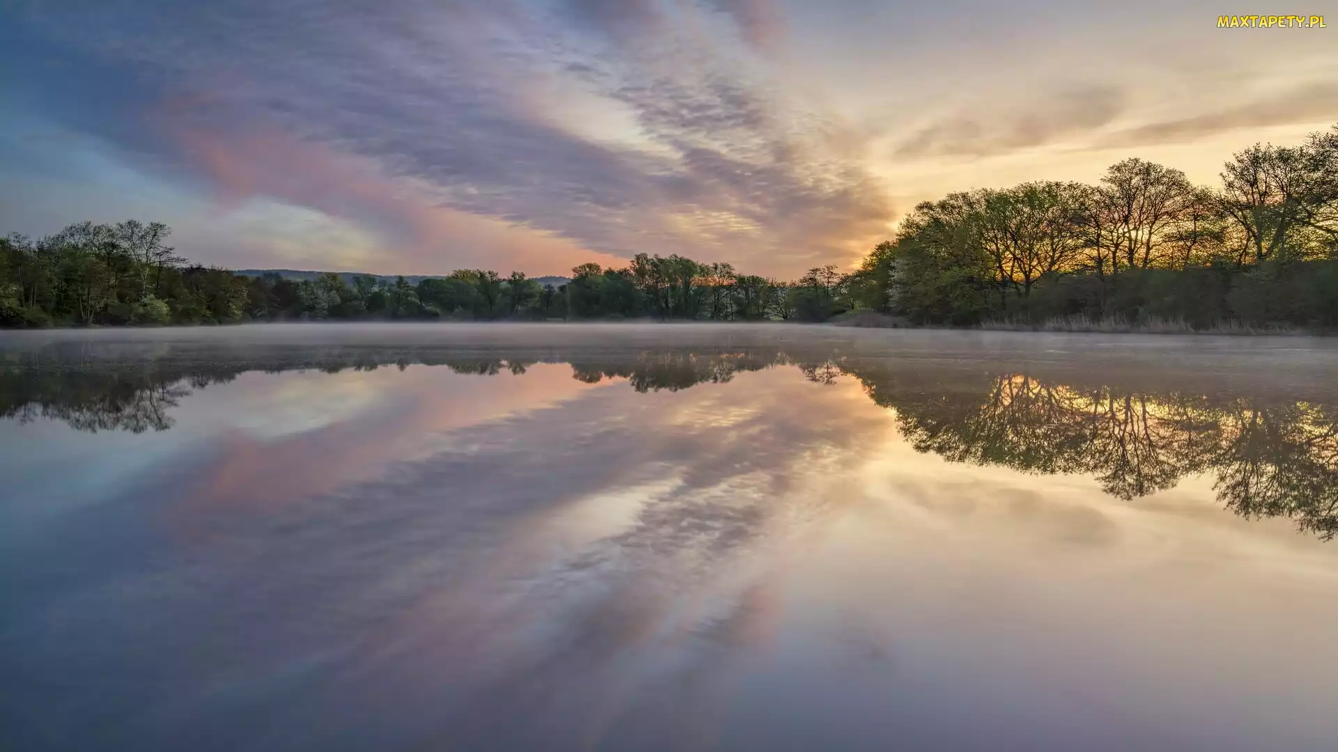 Niemcy, Dolina Wittlicha, Drzewa, Wschód słońca, Las, Jezioro Sterenbachsee