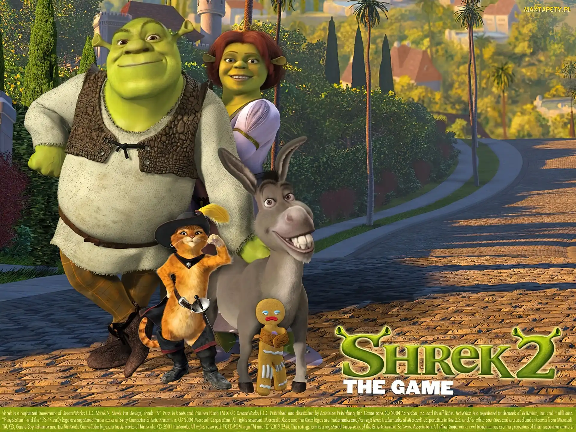 droga, Shrek 2, postacie