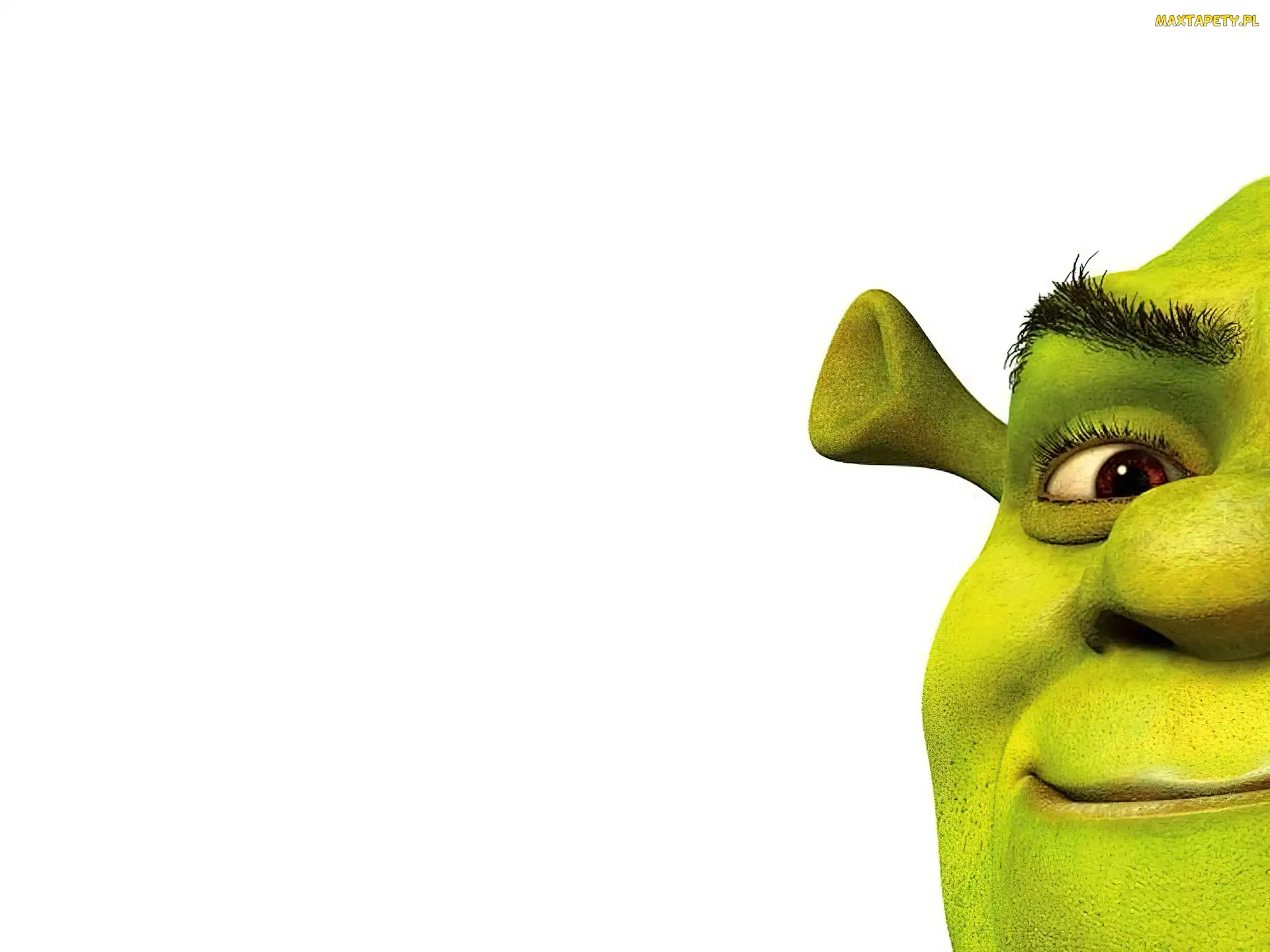 Shrek 1, ogr