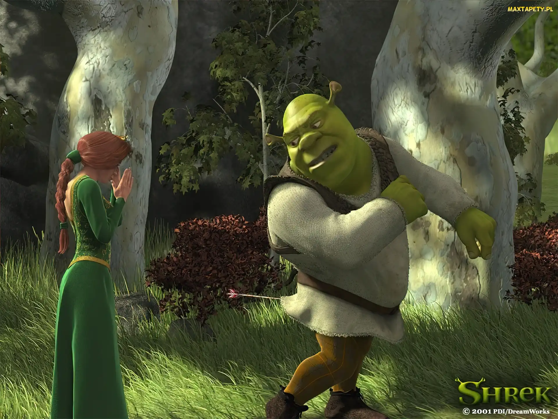 Shrek 1, drzewa, ogr, Fiona