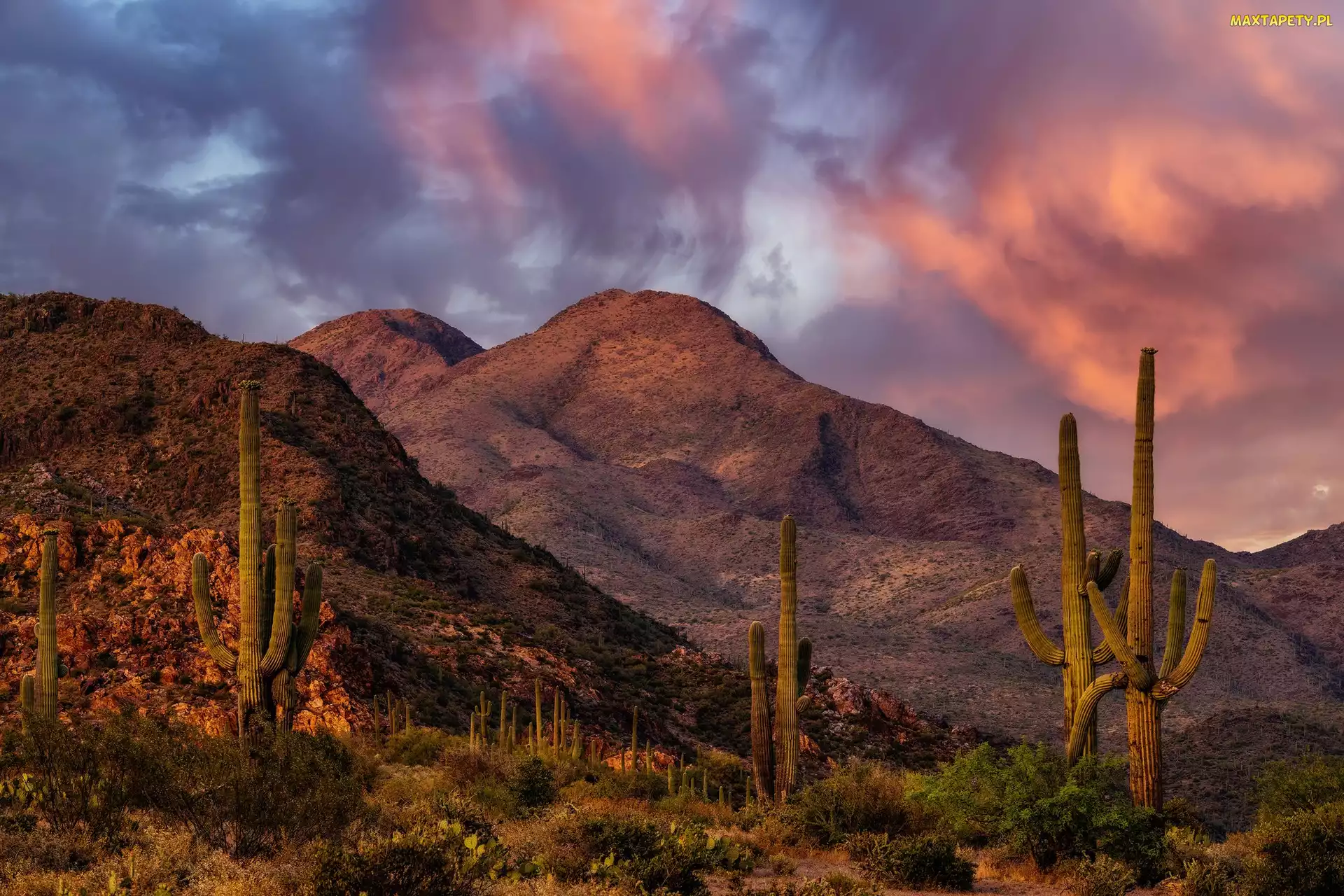Stany Zjednoczone, Park Narodowy Saguaro, Chmury, Arizona, Pustynia, Góry, Sonora, Kaktusy, Zachód słońca, Saguaro