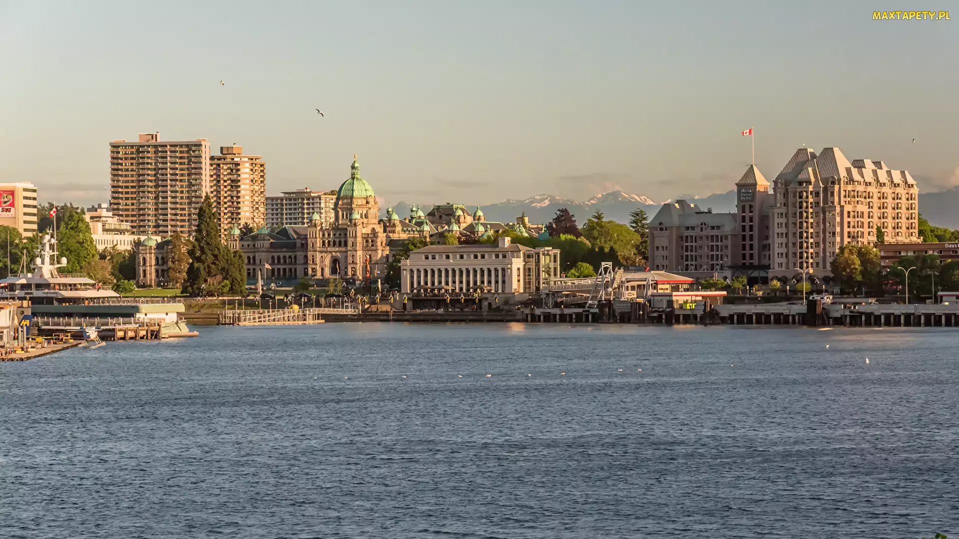 Viktoria, Domy, Wybrzeże, Wyspa Vancouver, Kanada