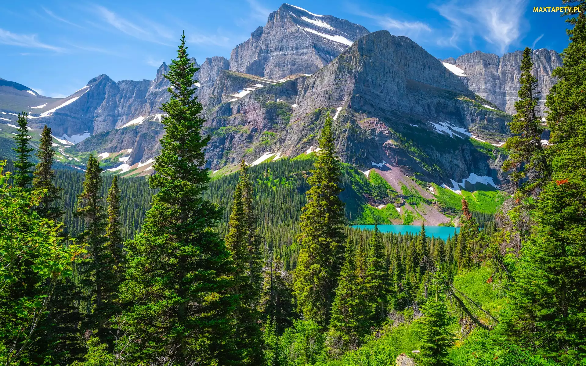Montana, Jezioro, Stany Zjednoczone, Góry, Lasy, Park Narodowy Glacier, Drzewa, Grinnell Lake