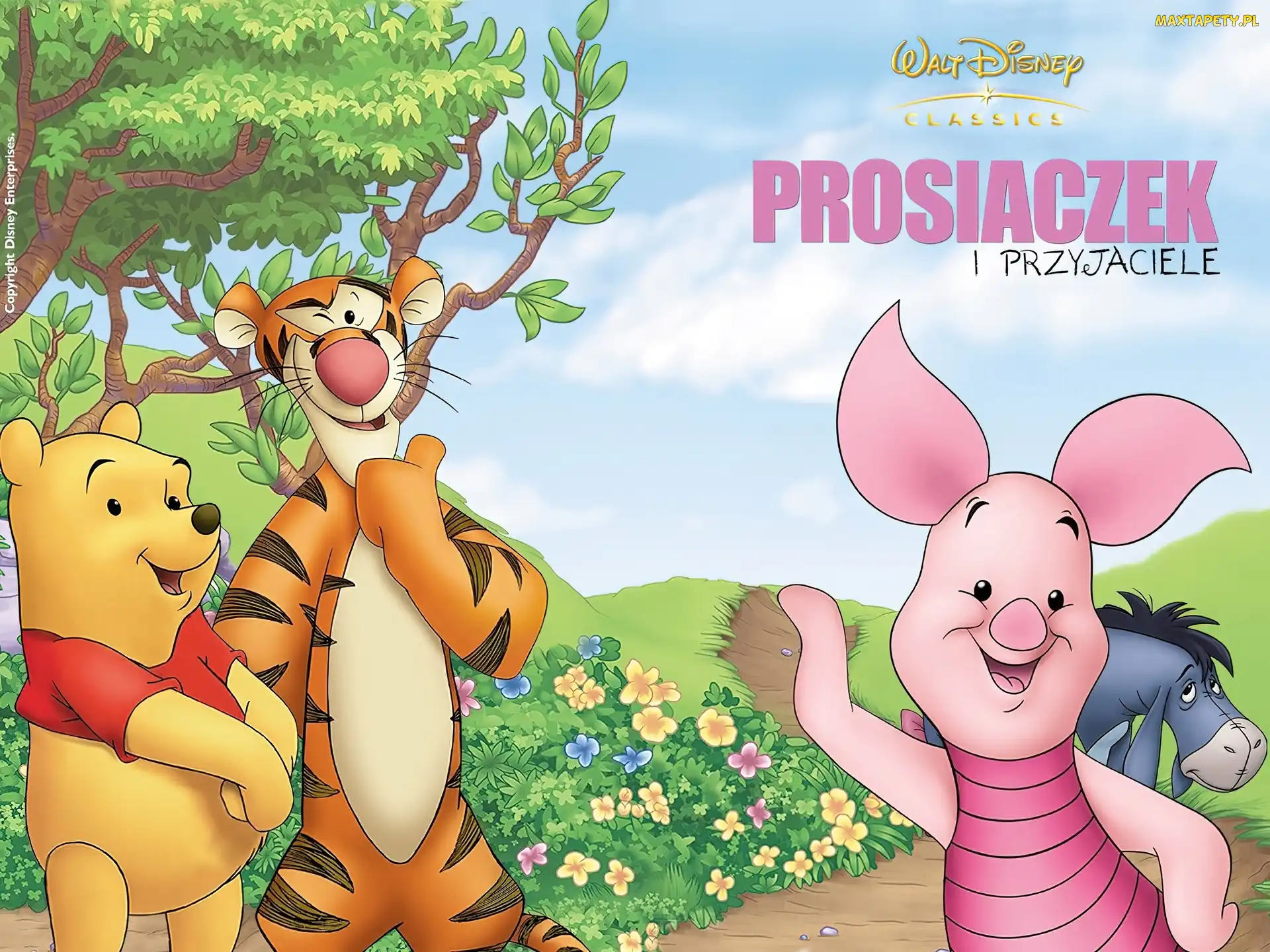Kłapouchy, Puchatek, Piglets Big Movie, Prosiaczek i przyjaciele, Prosiaczek, Tygrysek