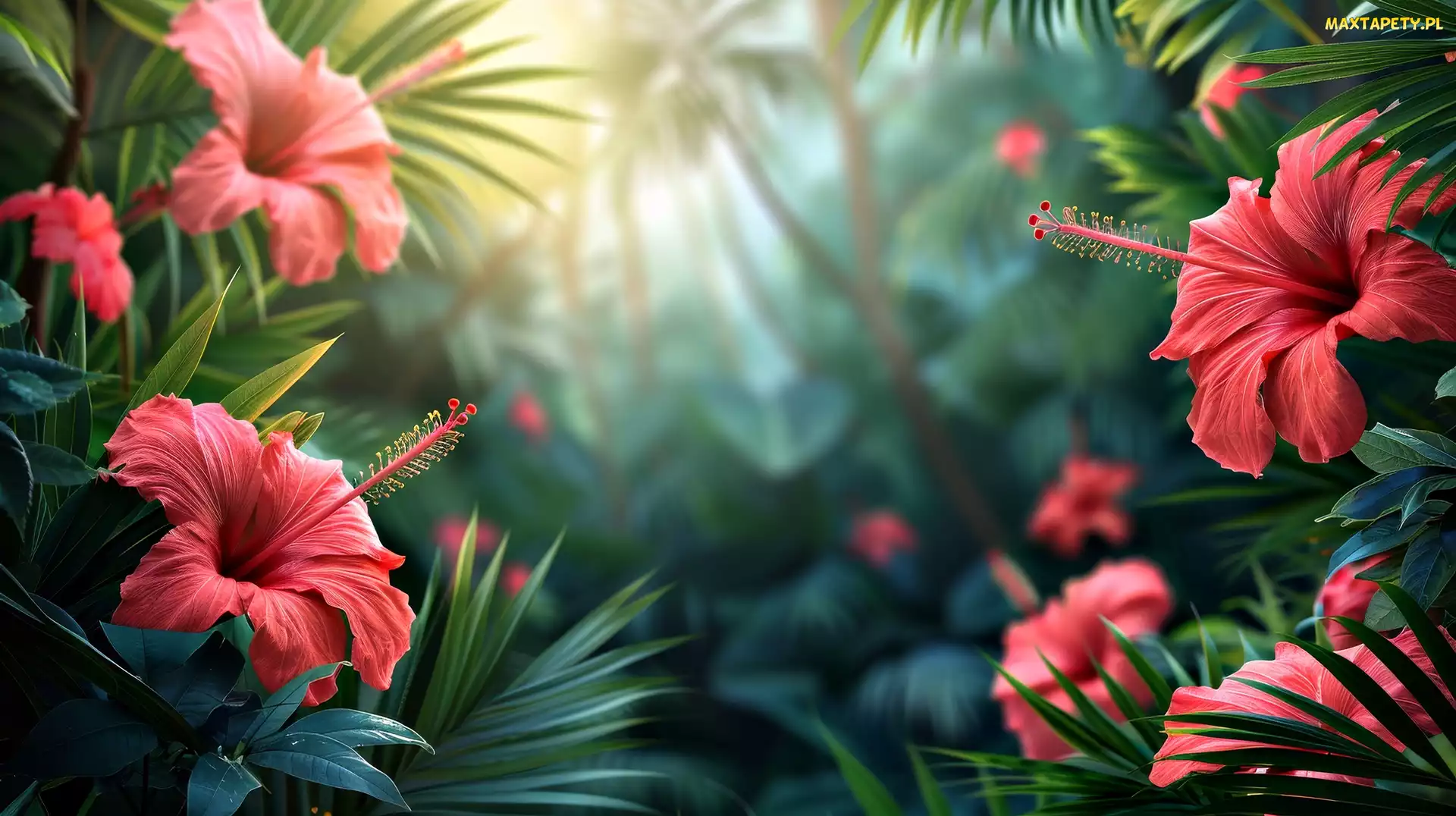 Kwiaty, Grafika, Liście, Czerwone, Hibiskus