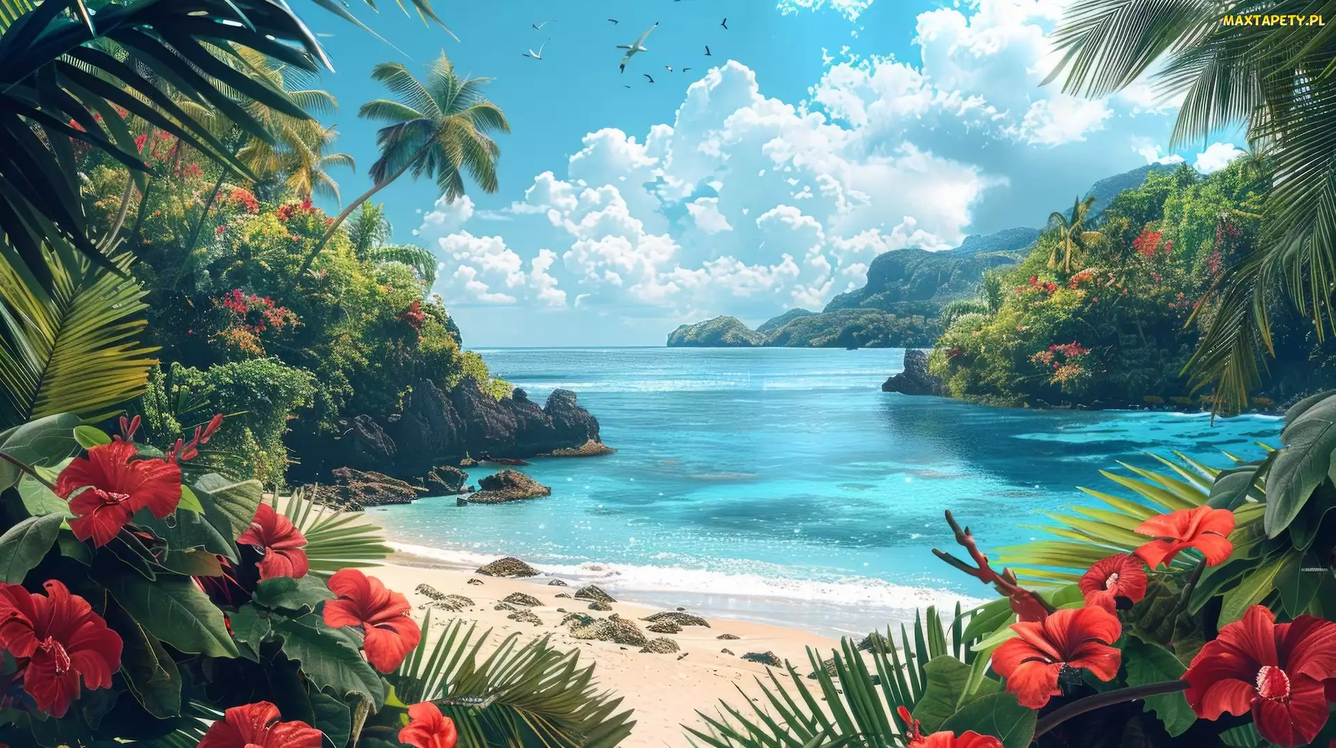 Palmy, Roślinność, Hibiskus, Kwiaty, Morze. Plaża