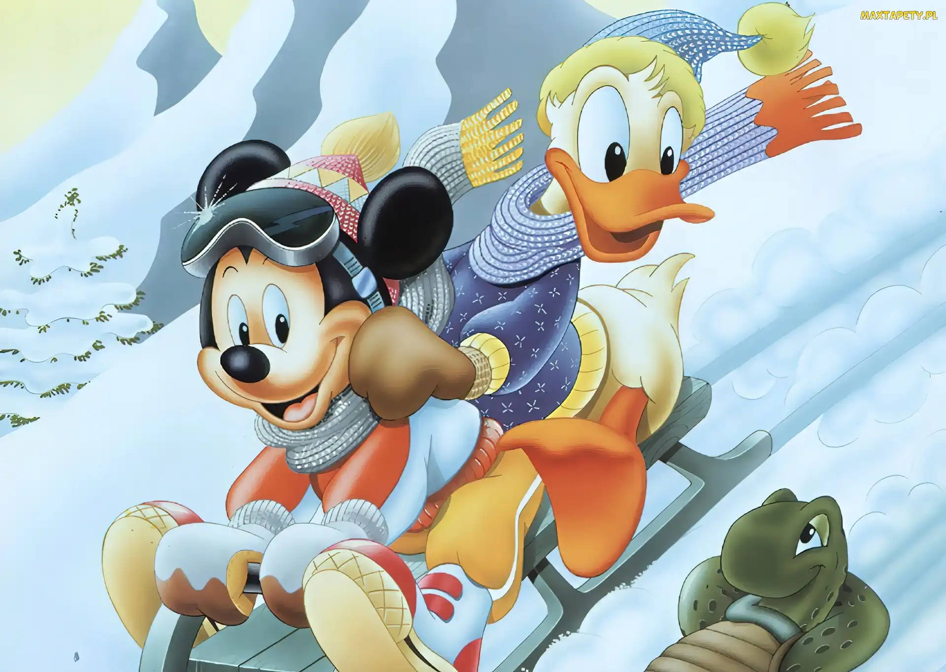 Myszka Miki, sanki, Donald