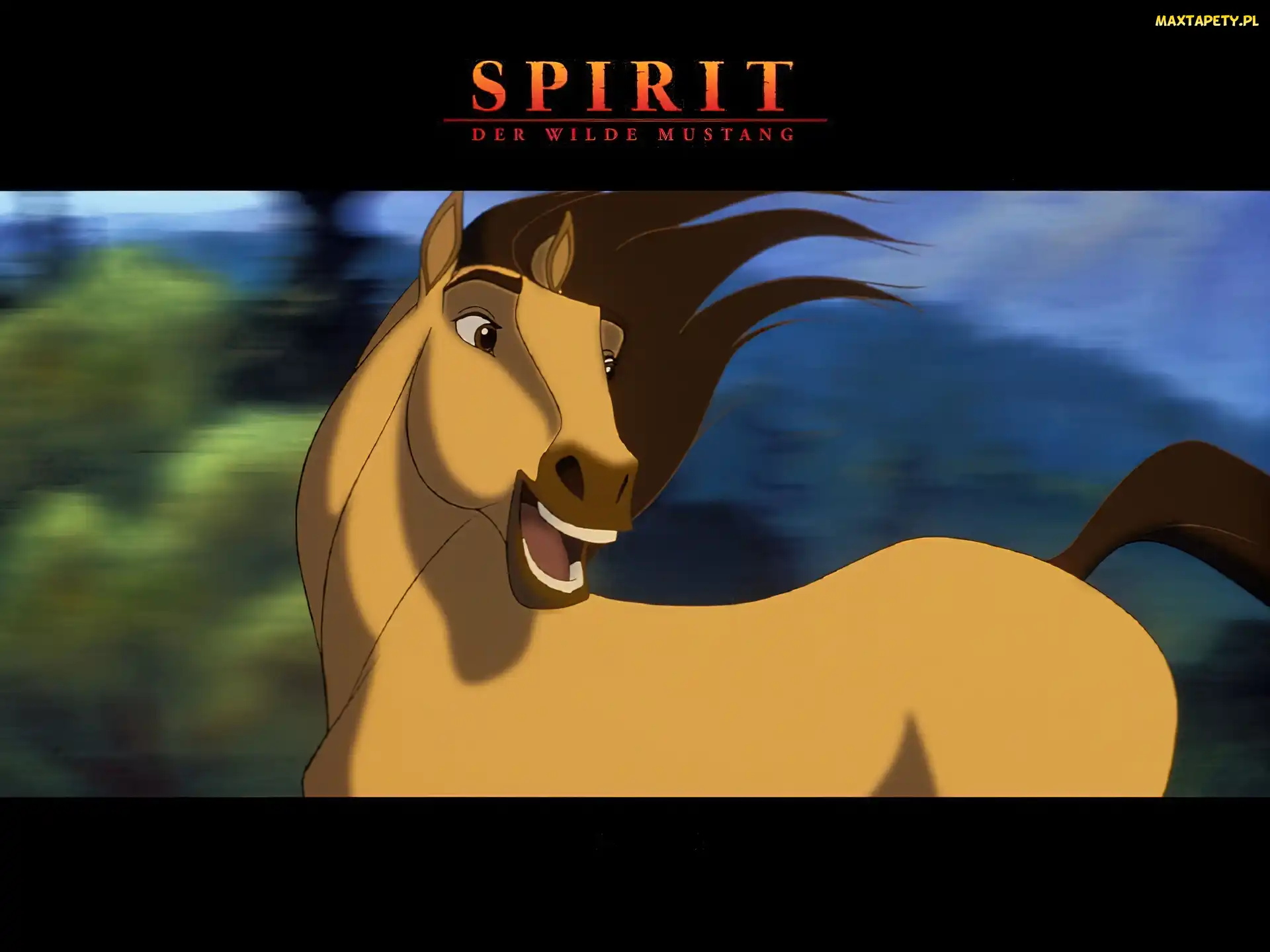 Mustang z Dzikiej Doliny, Spirit Stallion of the Cimarron, koń