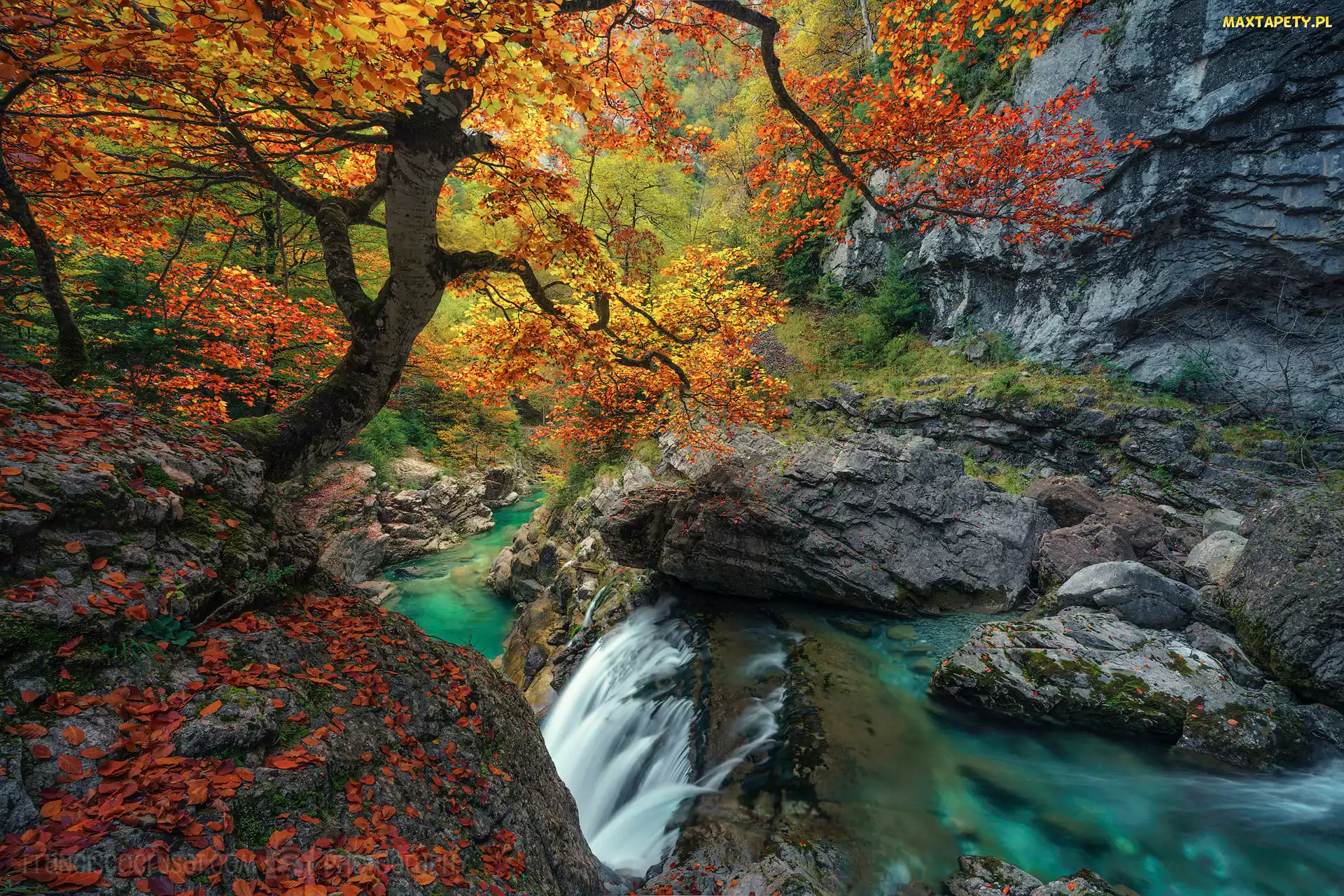 Pożółkłe, Drzewa, Hiszpania, Głazy, Opadłe, Jesień, Park Narodowy y Monte Perdido, Liście, Rzeczka, Dolina Ordeus, Skały
