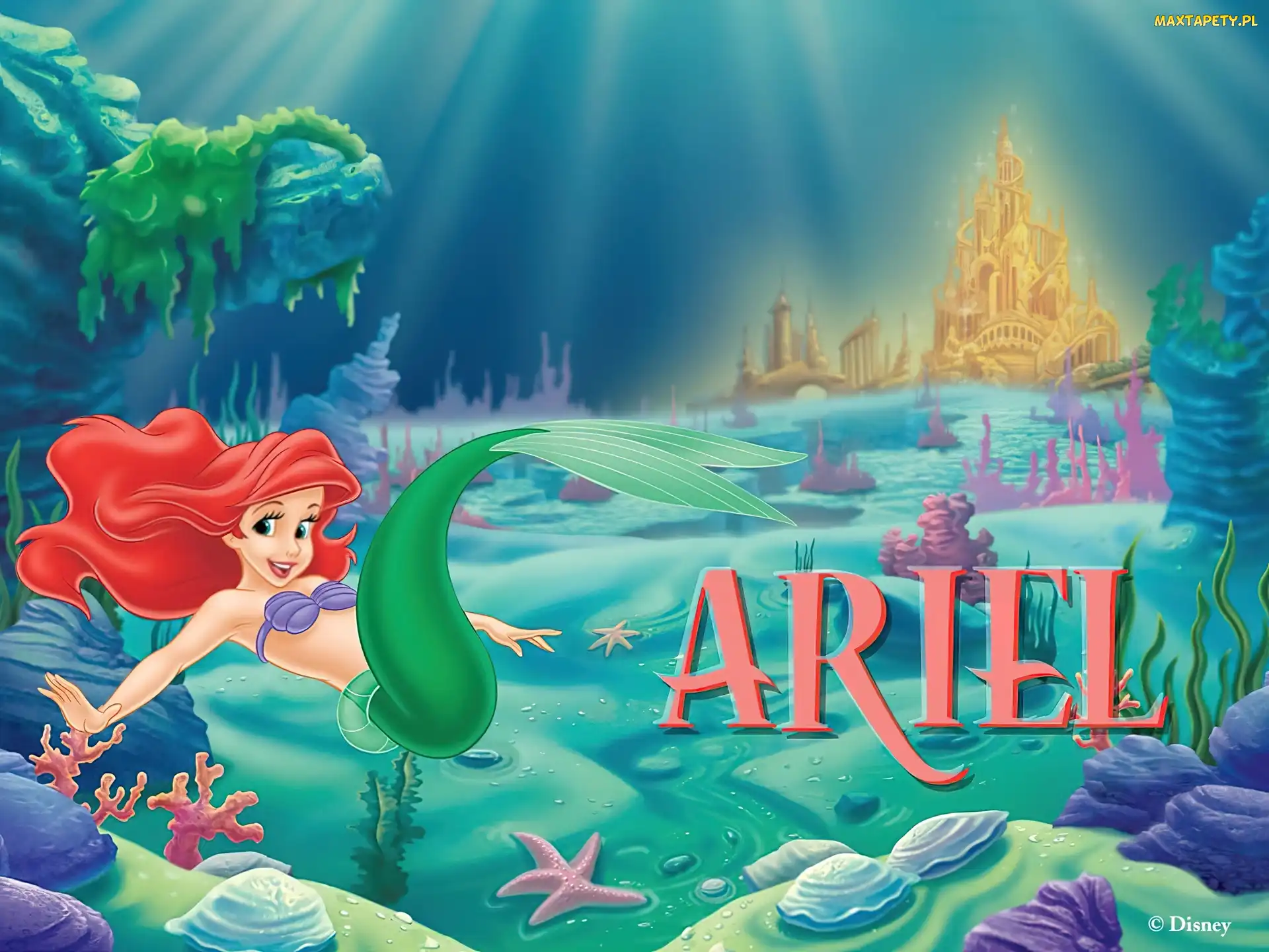 The Little Mermaid, Ariel, Mała Syrenka