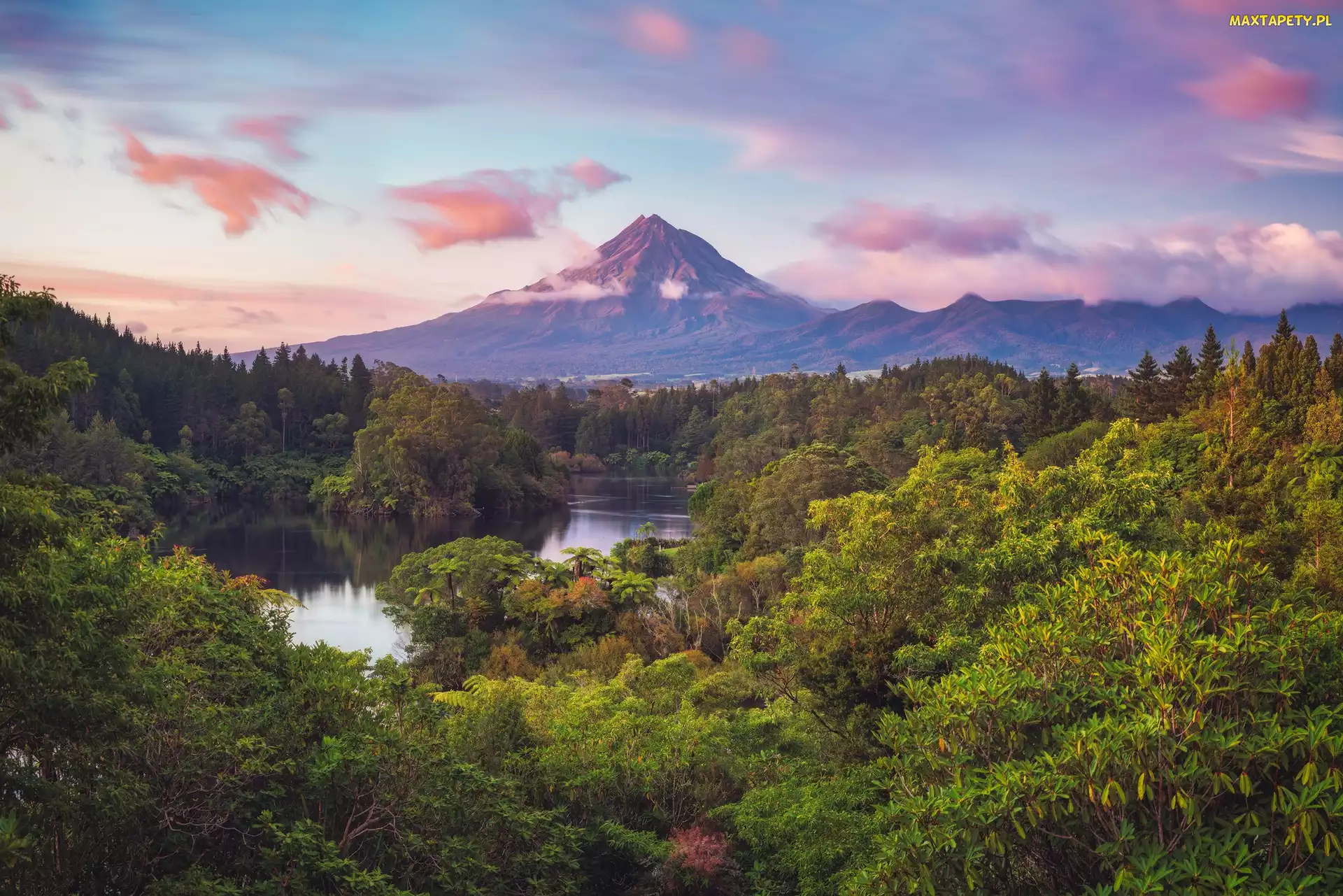 Wyspa Północna, Mount Taranaki, Nowa Zelandia, Góra, Drzewa, Park Narodowy Egmont, Rzeka, Lasy