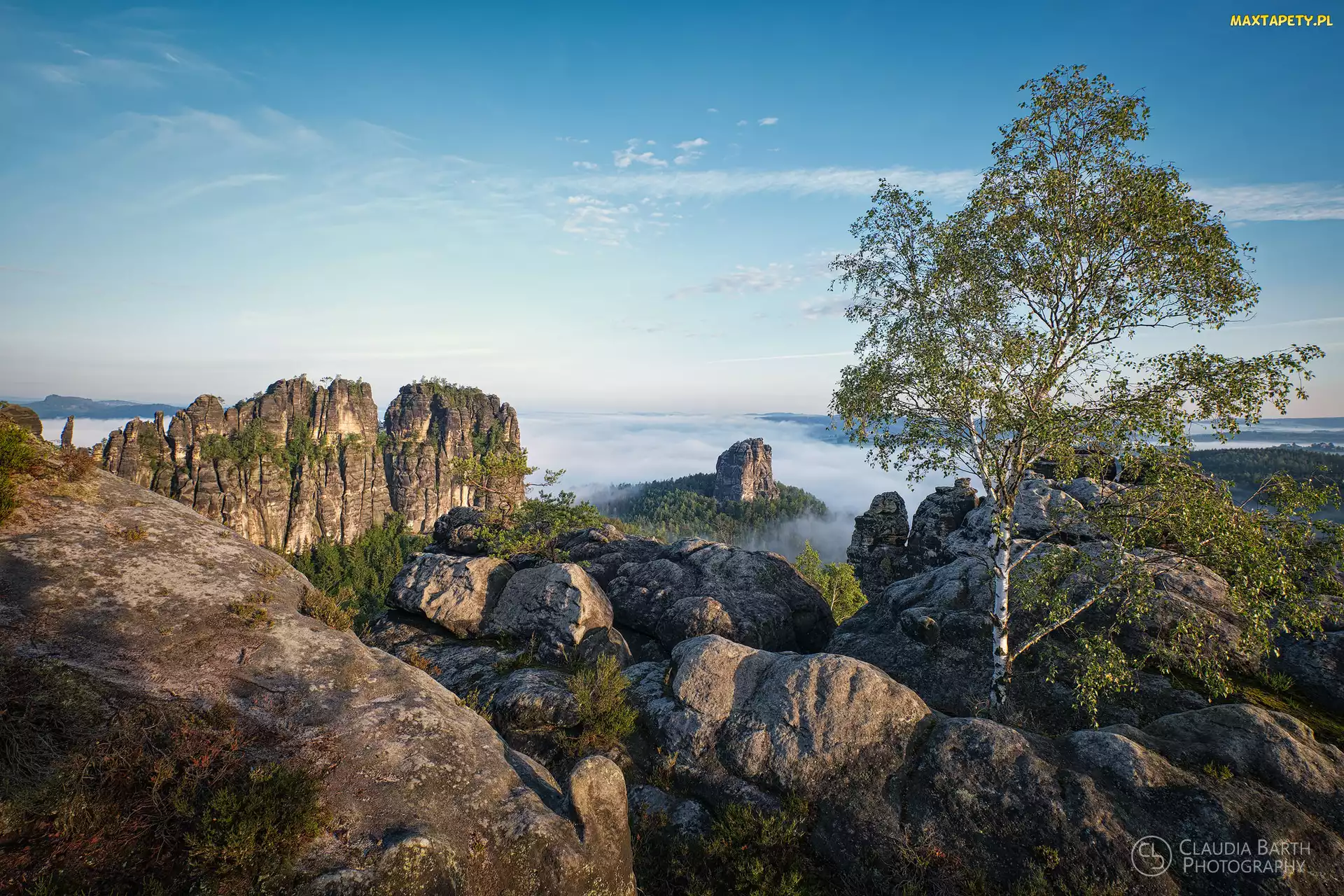 Krzewy, Brzoza, Góry Połabskie, Mgła Park Narodowy Saskiej Szwajcarii, Drzewo, Niemcy, Skały