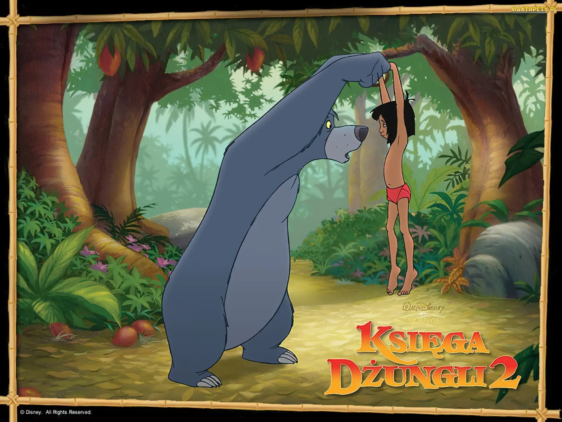 Księga Dżungli 2, The Jungle Book 2, Baloo