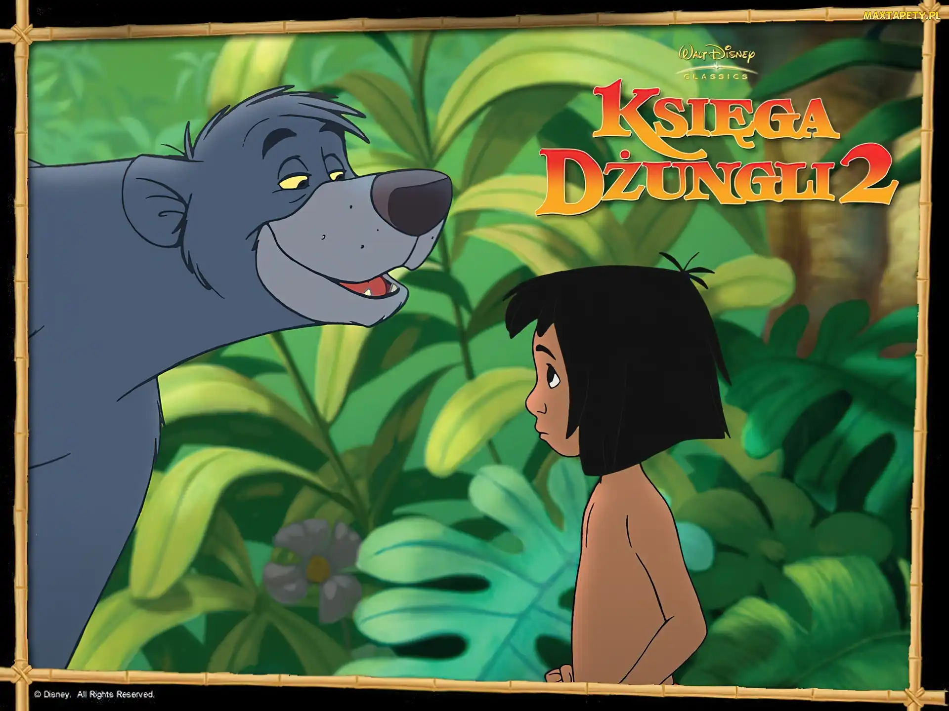 niedźwiedź, chłopiec, Księga Dżungli 2, The Jungle Book 2
