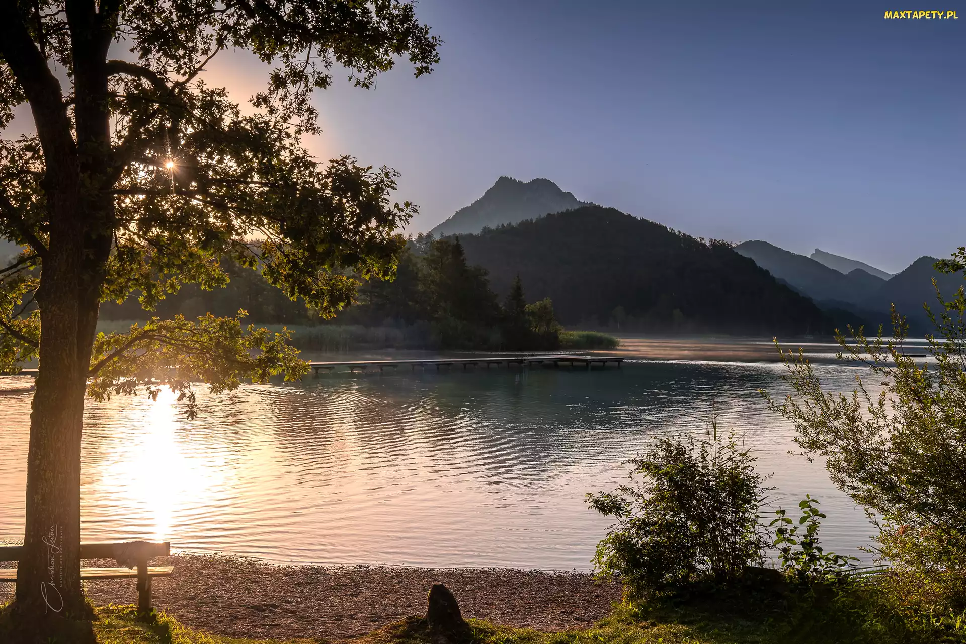 Austria, Krzewy, Drzewo, Wschód słońca, Ławka, Fuschlsee Lake, Góry, Alpy, Jezioro
