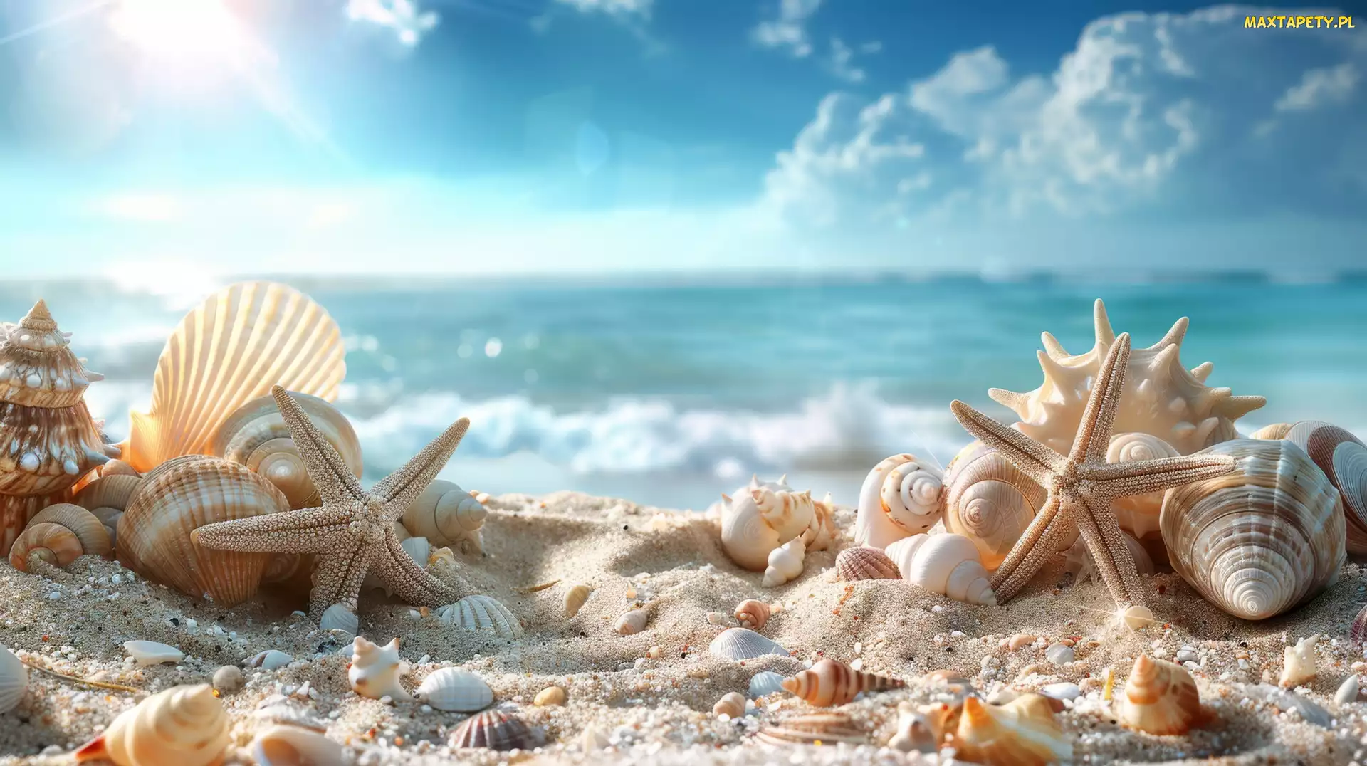 Grafika, Niebo, Muszle, Plaża, Rozgwiazdy, Morze